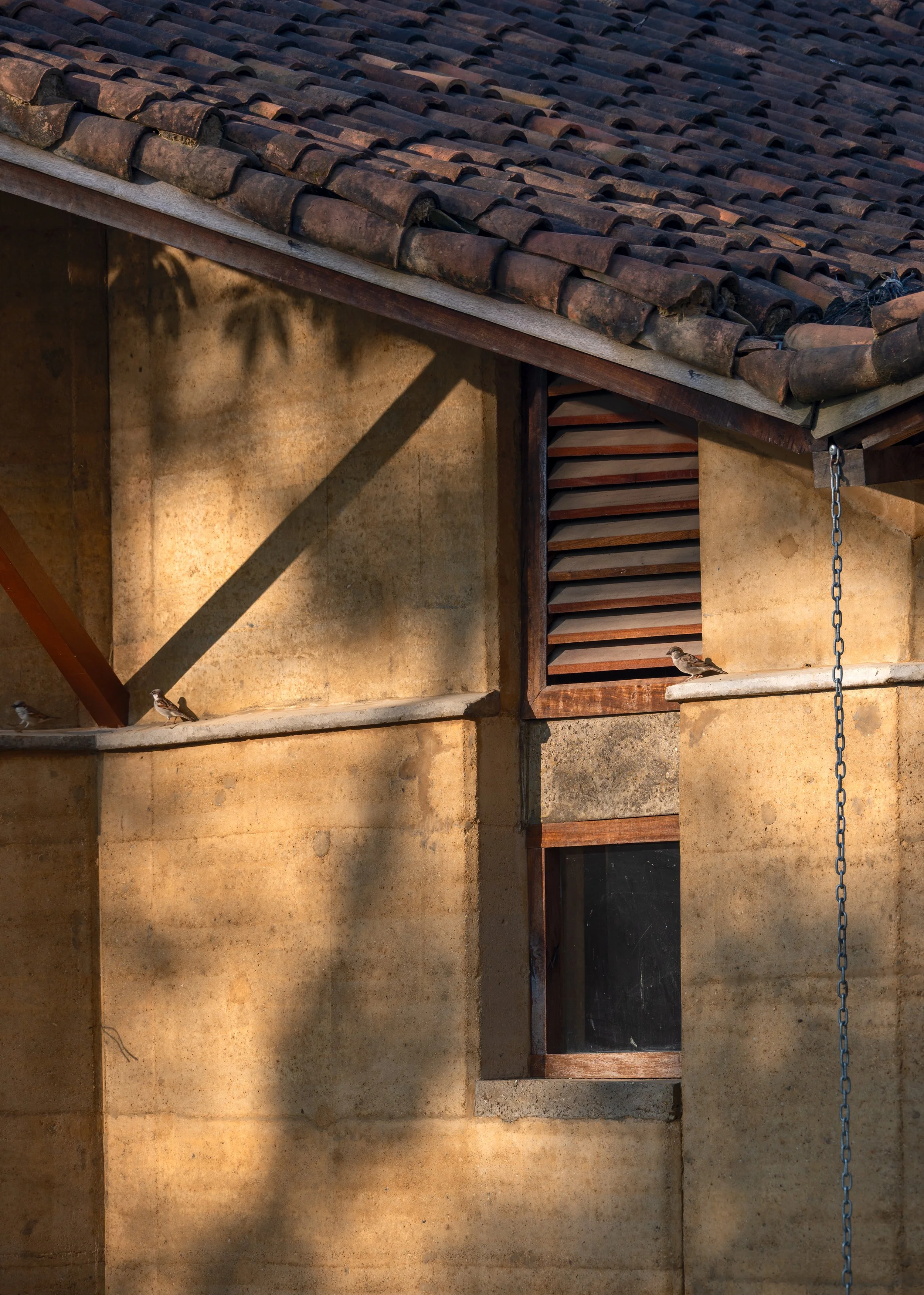 Close-up of a tiled roof on a rustic building with two birds perched on the ledge. The wall is made of textured, weathered stucco with shadows cast by the roof's structure.