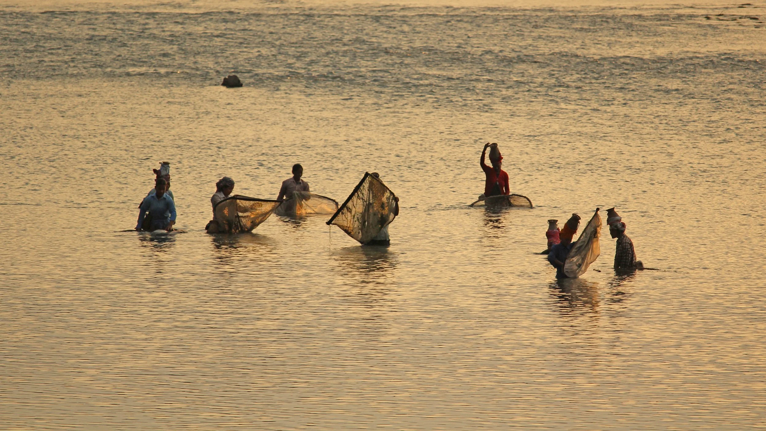 Local Tharu women fish in the Geruwa River near Bardiya National Park in Nepal.
