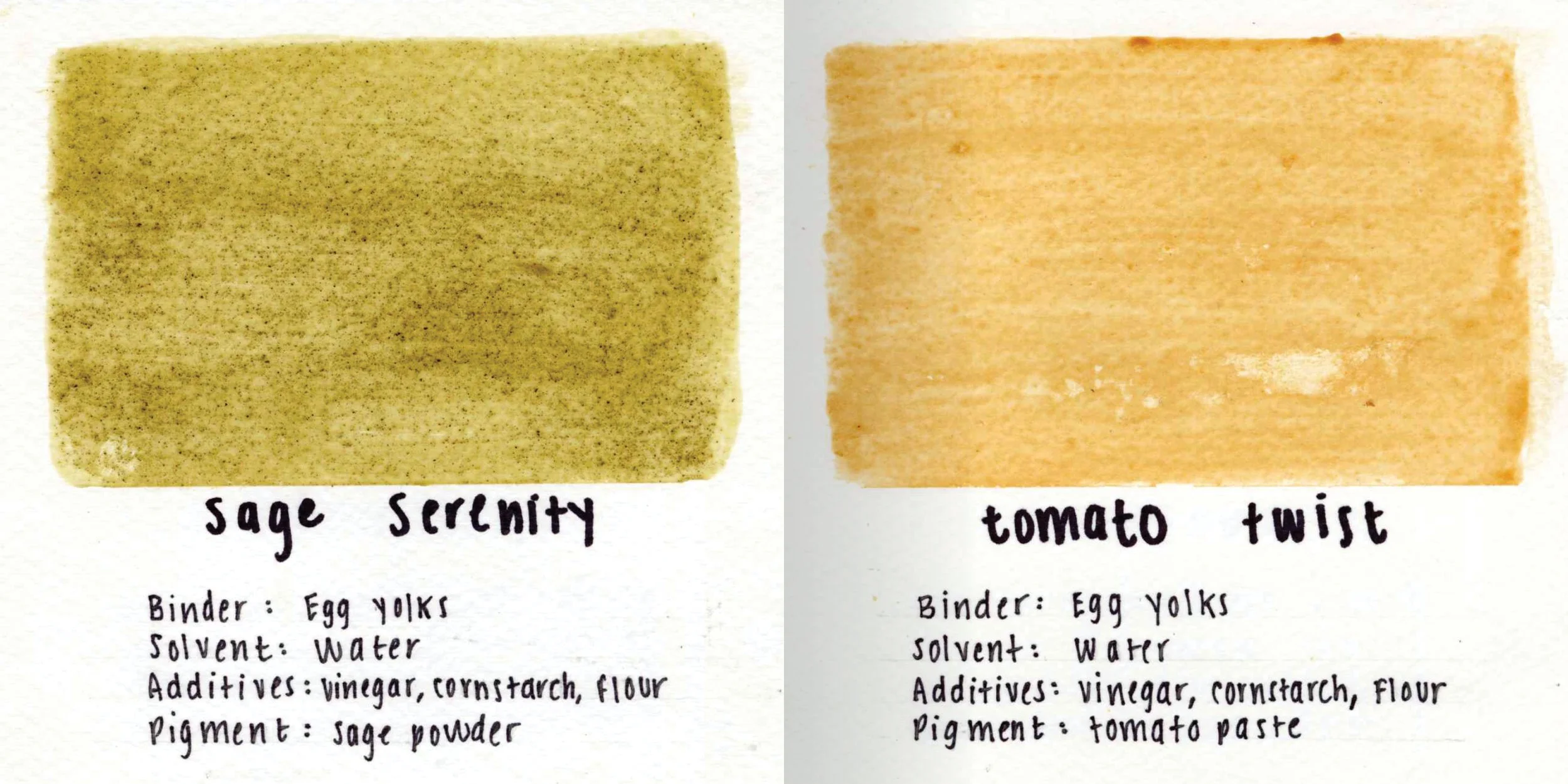 A brownish green organic paint swatch named "Sage Serenity" next to a reddish-yellow swatch named "Tomato Twist," with handwritten notes about their ingredients and binders.