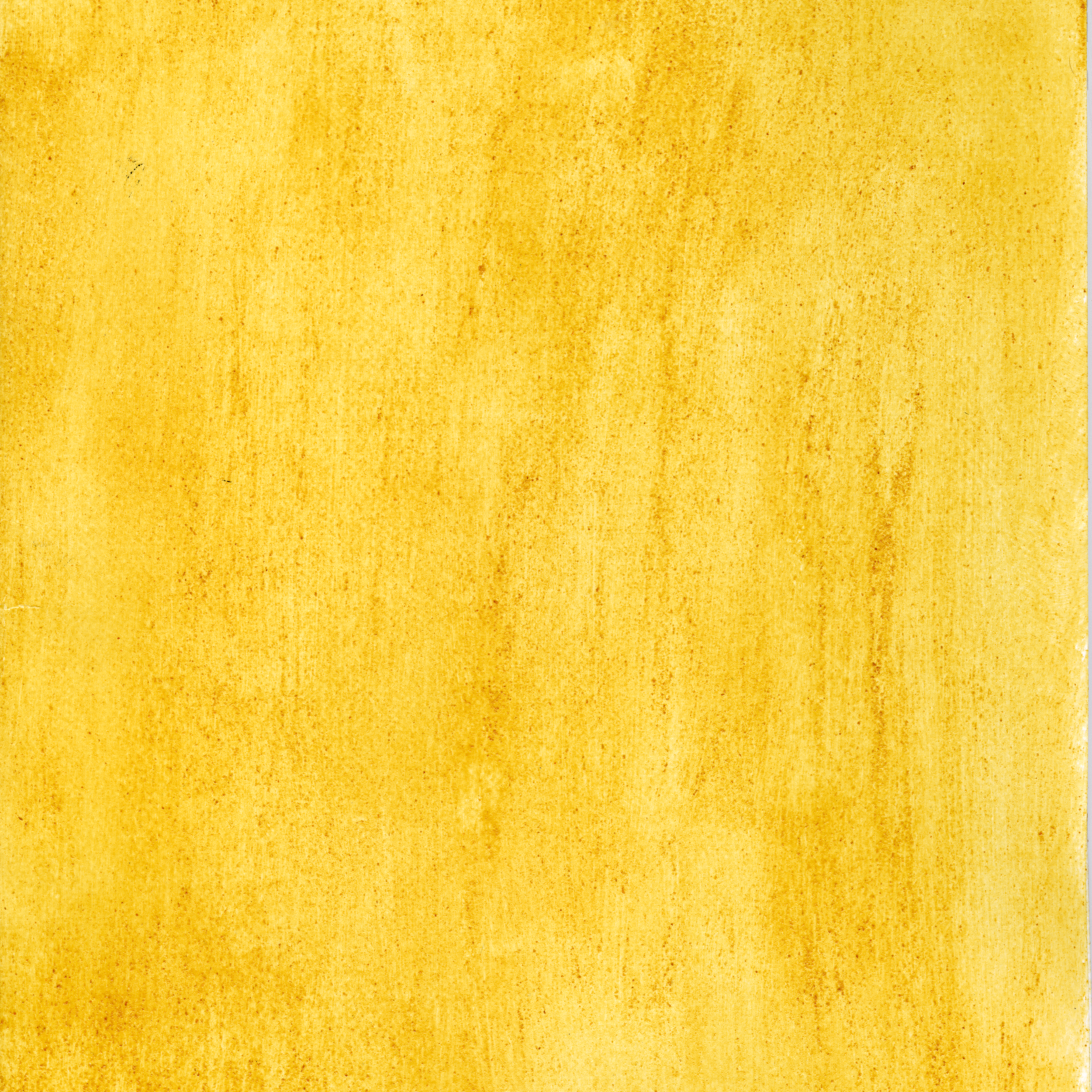 A swatch of the custom organic paint "Carrot Crush."