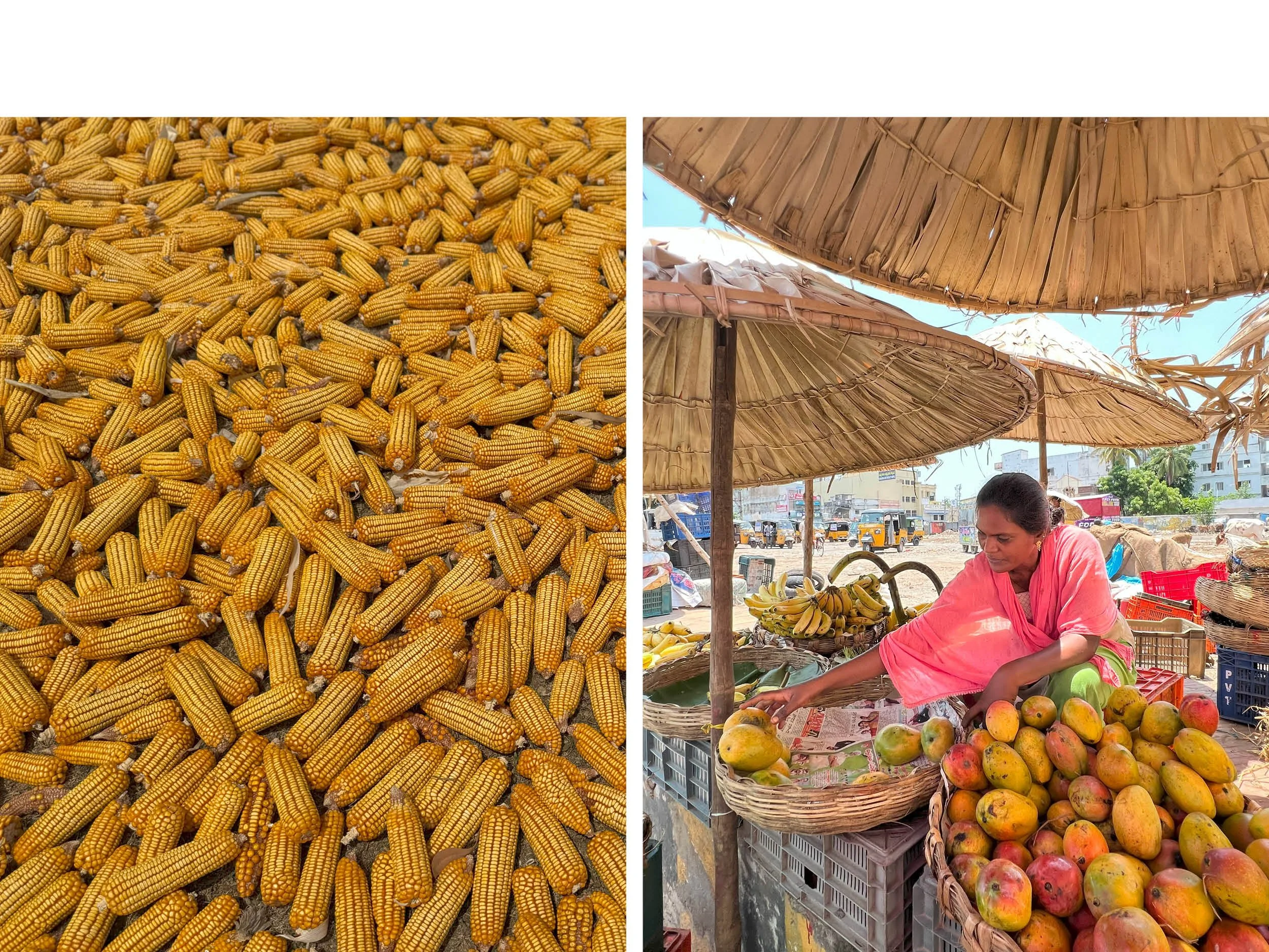 A side-by-side collage of two photos of outdoor markets: the left shows a large pile of yellow corn cobs, and the right shows a woman sitting under a thatched roof selling apples and bananas.