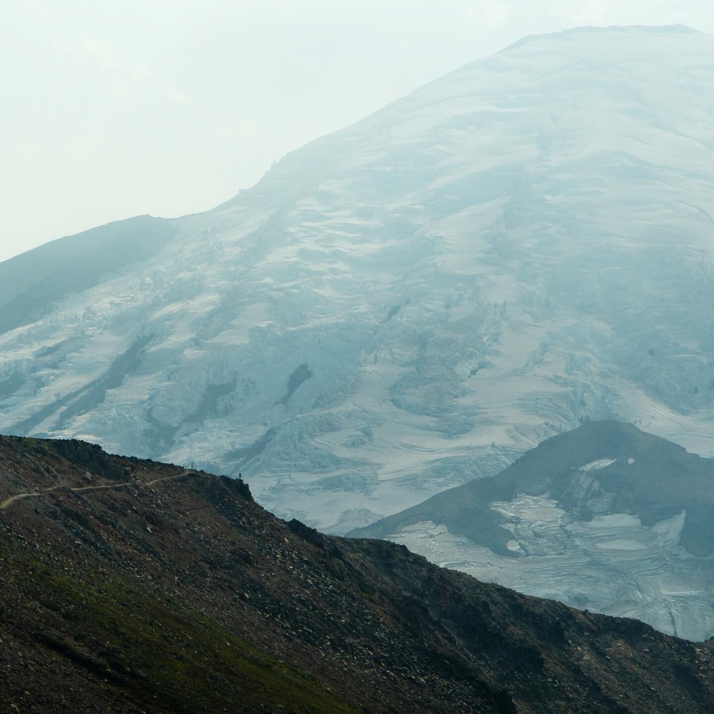 Going to miss these mountains!

#mtrainier #cascademountains #mtrainiernationalpark