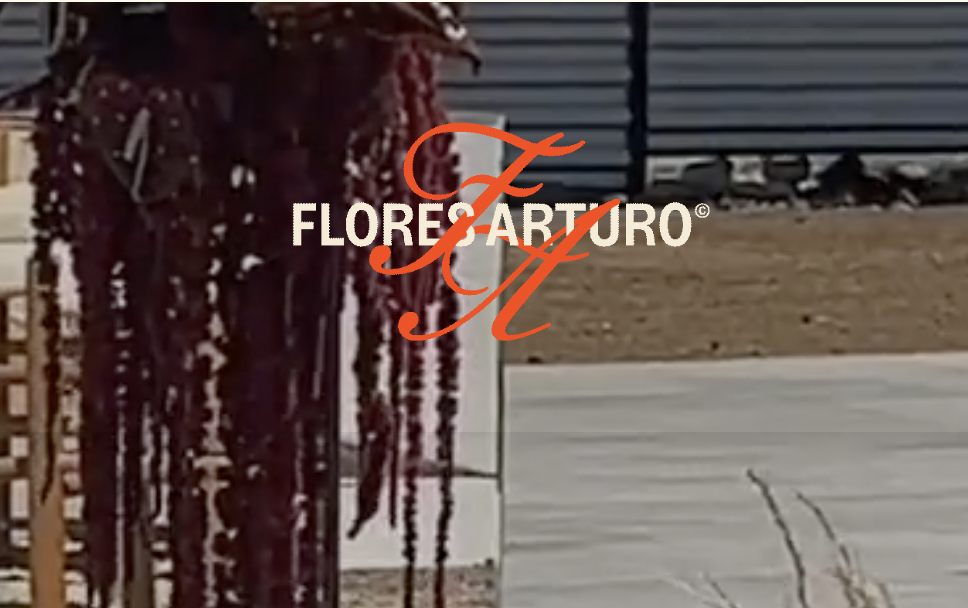 Screenshot 2025-09-04 at 2.46.36 PM.png