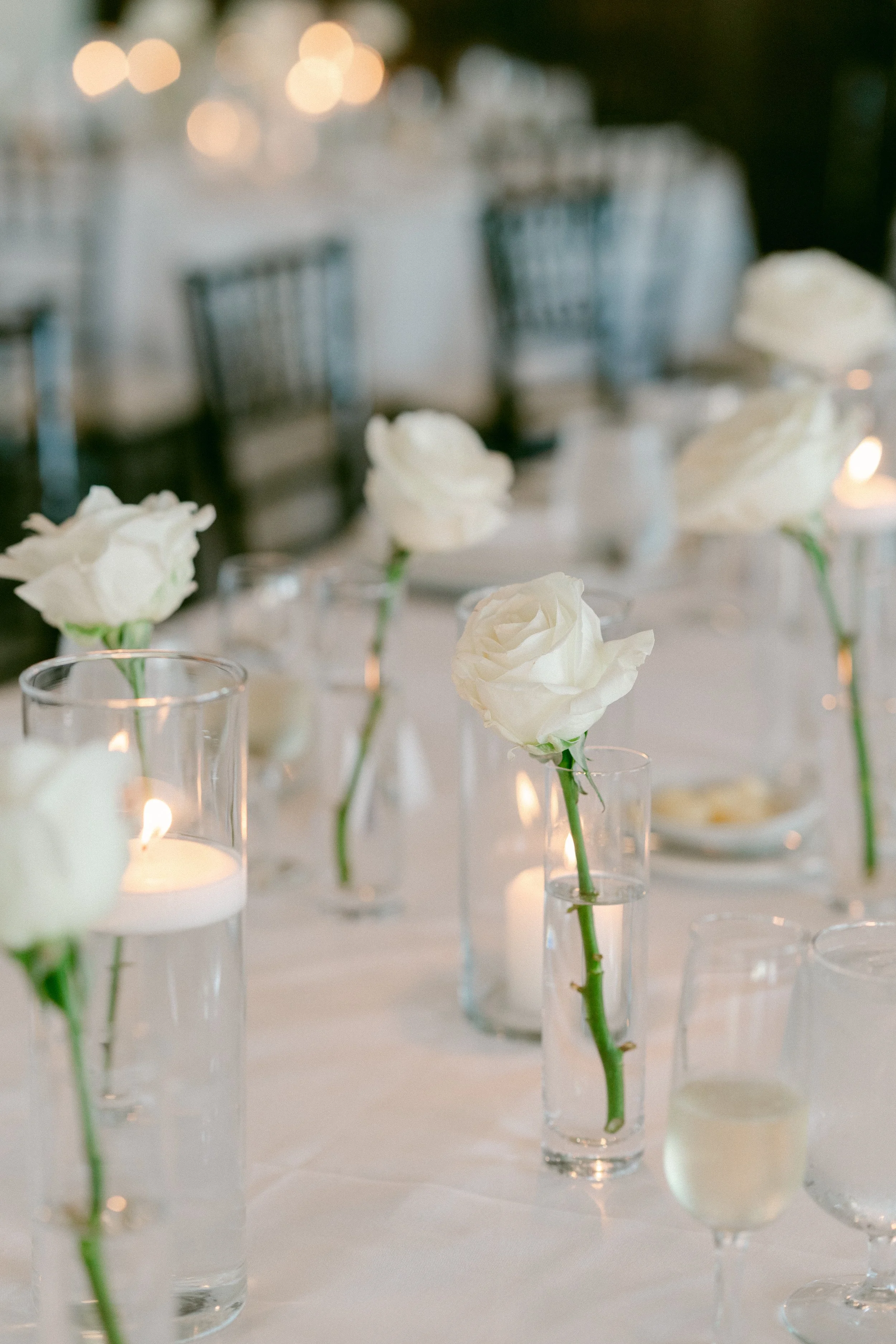 TiffanyJPhotography-206401.jpg