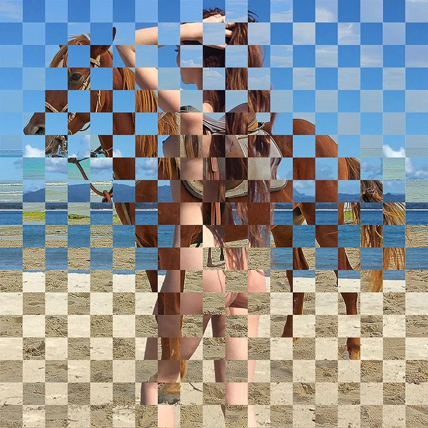 Lady Godiva |
Woven 1-inch strips of archival digital prints |
19.6” x 19.6” |
2019