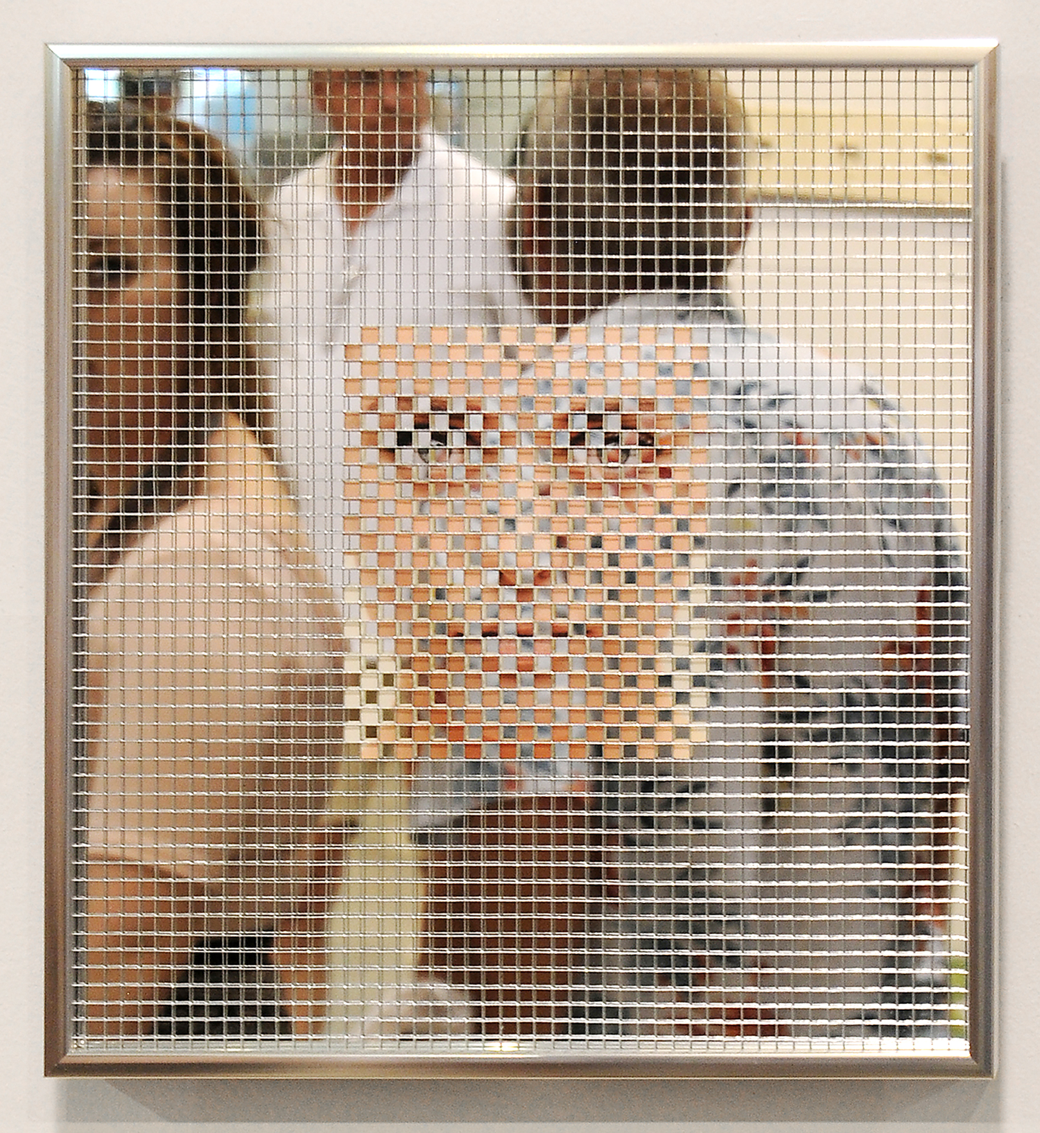 Mirror, Mirror (on exhibit) |
Archival digital print, galvanized hardware mesh, mirror |
13.75” w x 15” h x 1.5” d