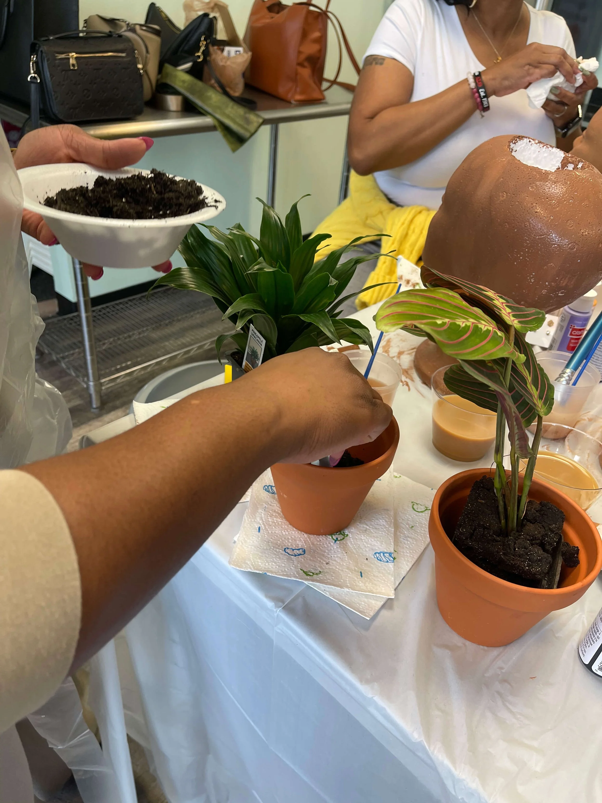Paint,PlantGrow-Photos38.jpg