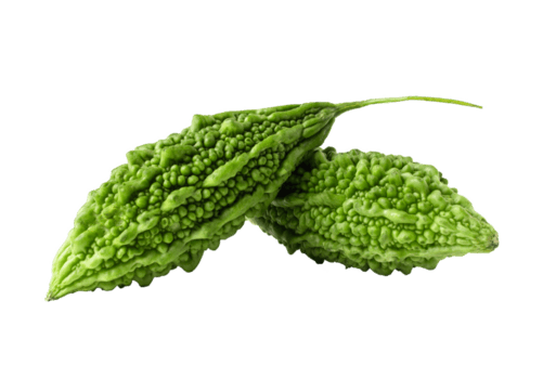 NEW! bitter medicine - email only