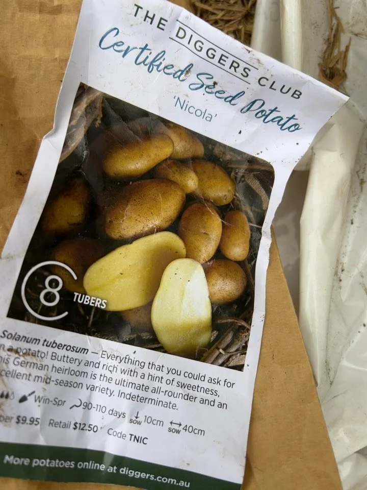 At home, I love experimenting. And today it was with potatoes. As gardeners, somethings don&rsquo;t work and others thrive. After looking into grow bags for potatoes, I thought let&rsquo;s use what I have already - empty pots! So I&rsquo;ve popped a 