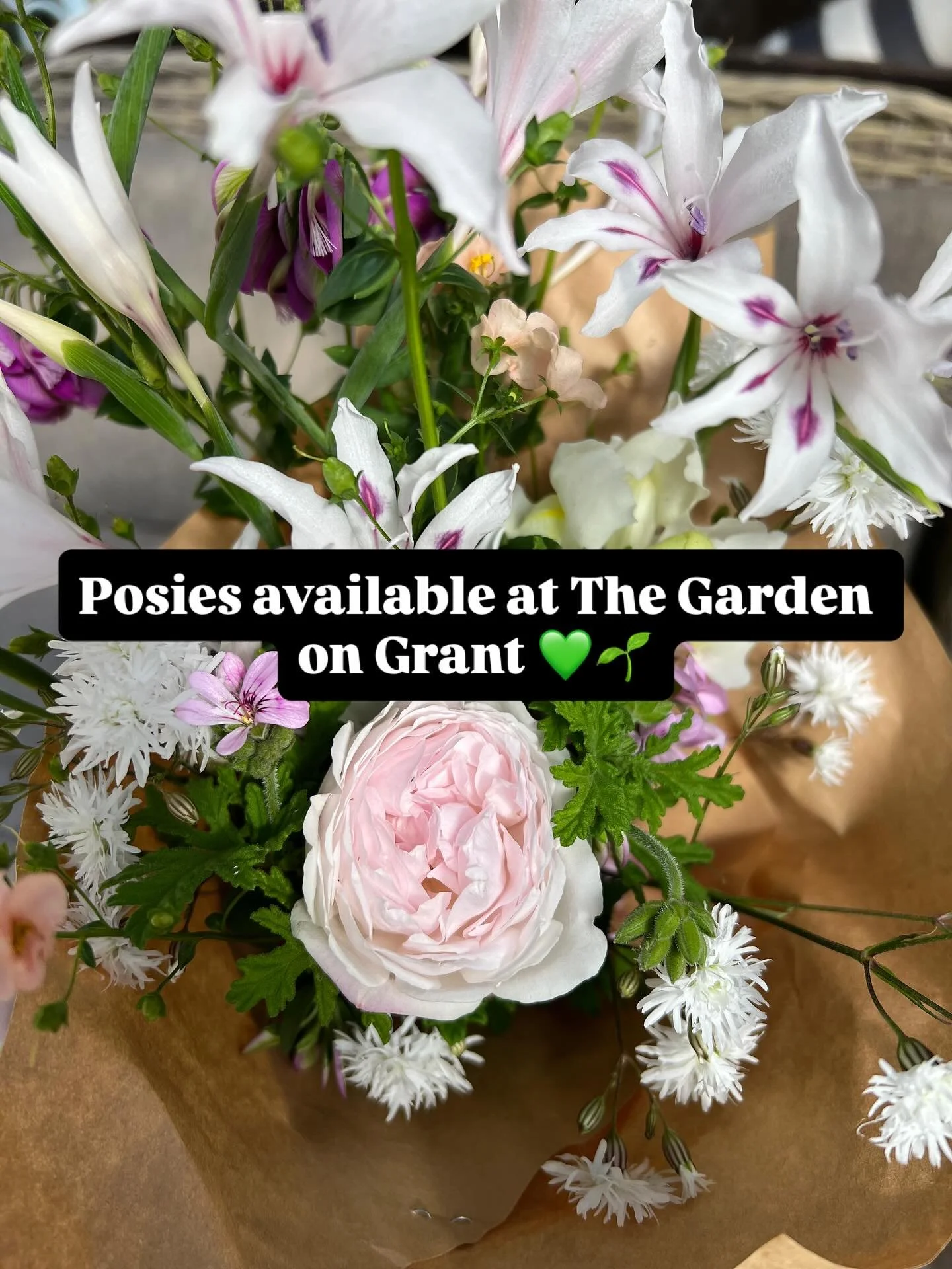 Posies available today at The Garden on Grant 💚🌱. All flowers grown onsite. 💚🌱 #grownnotflown #gardendesign #gardendesigner #mygarden #countrygardens #gardengate #benalla #supportlocal