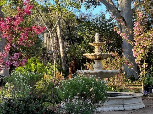Bubbles in the Blooms