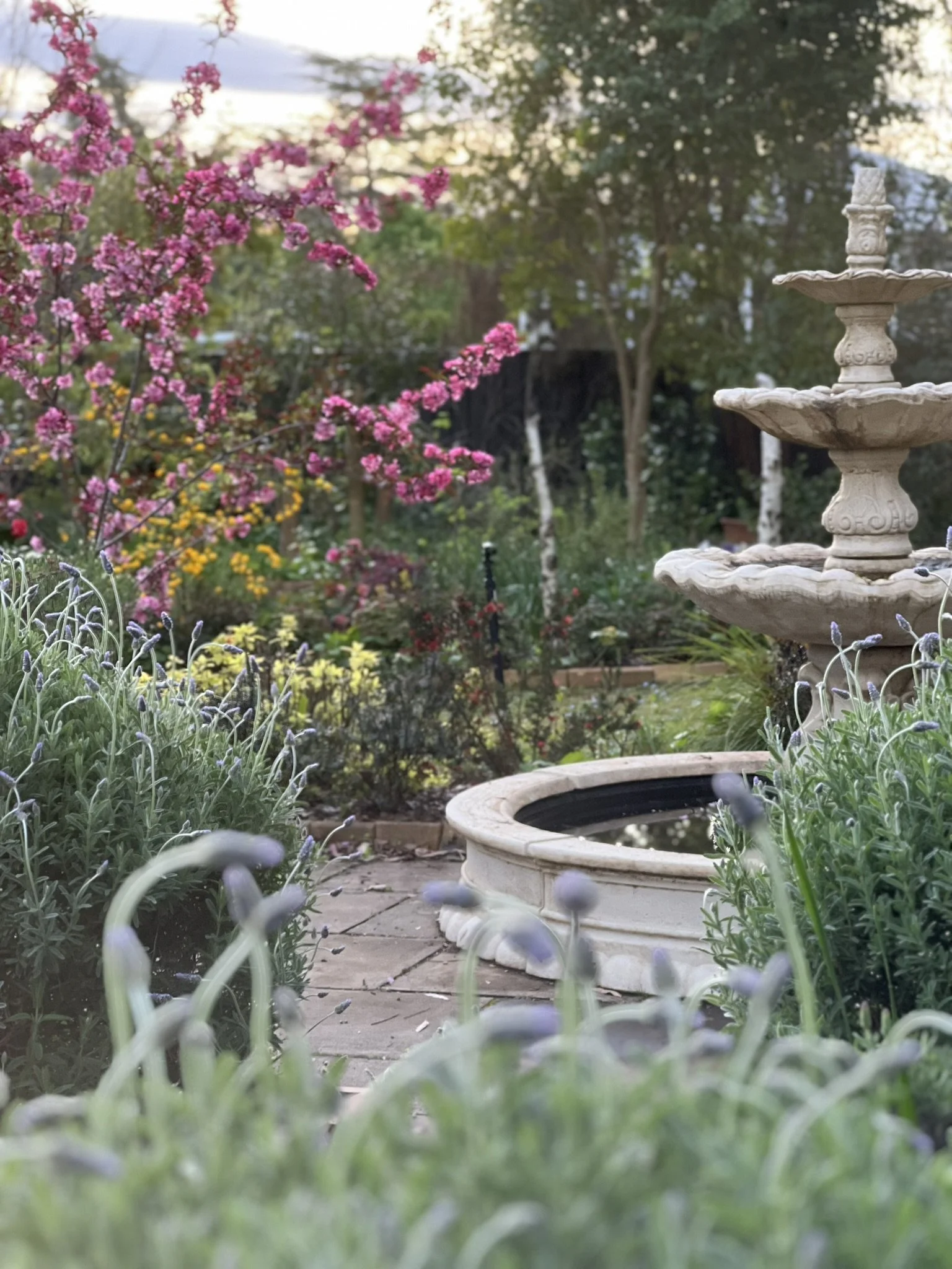 Brunch in the Blooms