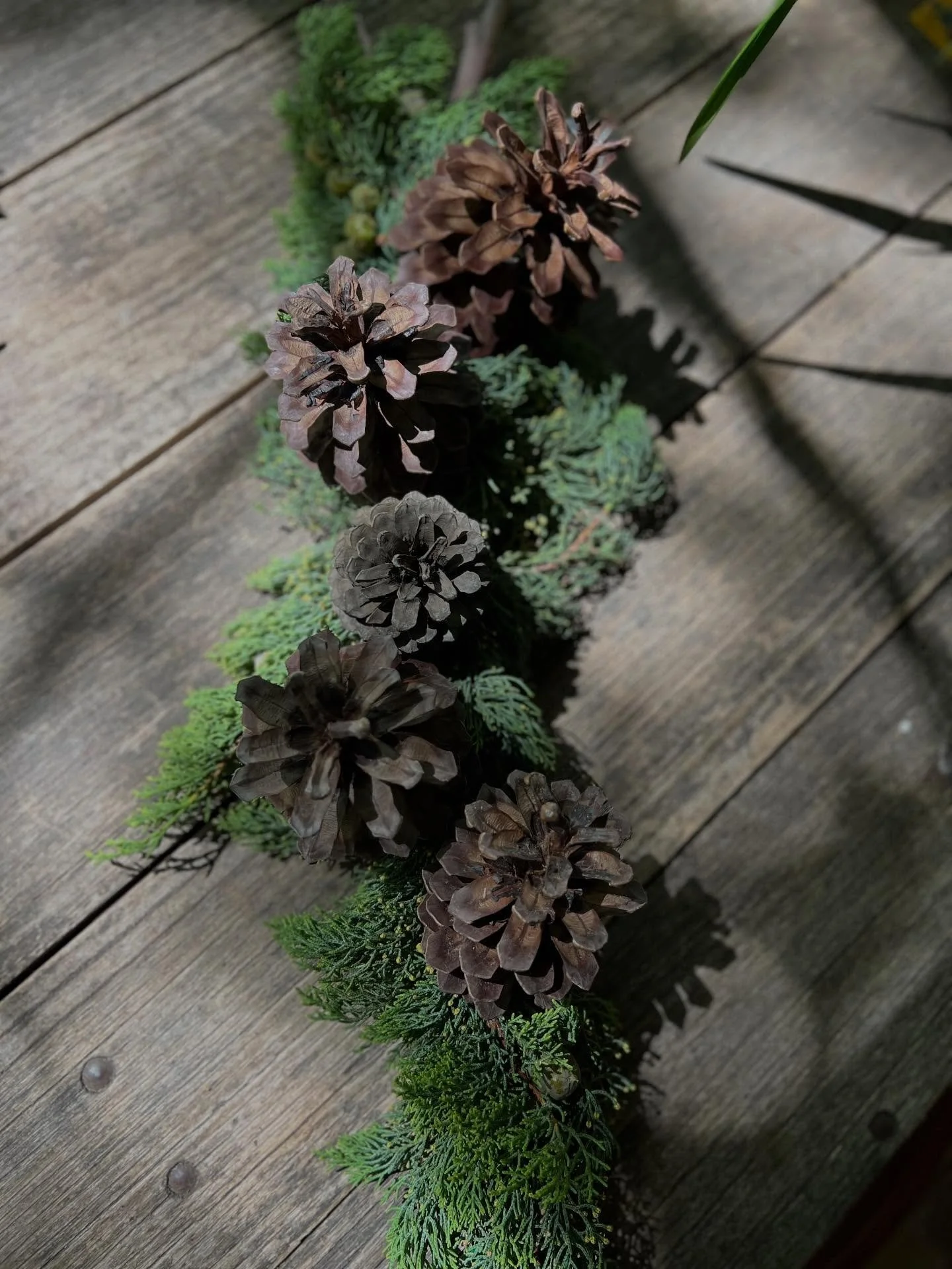 Creating a table centrepiece with items foraged was so satisfying. The cypress from our fallen branch, the pine cones late winter from our friend&rsquo;s tree, and the gum twigs that they&rsquo;re wired to from twigs fallen in our garden. 💚🌱 I lear