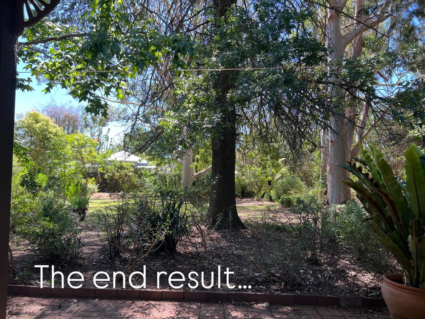 New spaces&hellip; yesterday was a garden day. After 12 months of looking out our bedroom window, I got stuck into reshaping and removing what was in this garden bed. Swipe through for before and afters. The views across the front garden are now expa