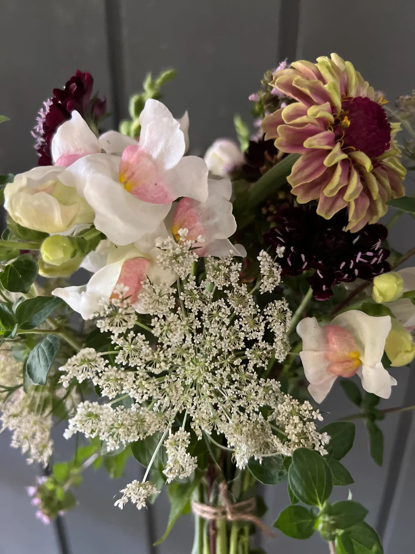 Grown lovingly and picked from The Garden on Grant for my Mum. 💚🌱 #gardendesigner #microflowerfarm #thegardenongrant #countrygarden #countrystyleloves #graziher #gardeningaustraliamag #benalla
