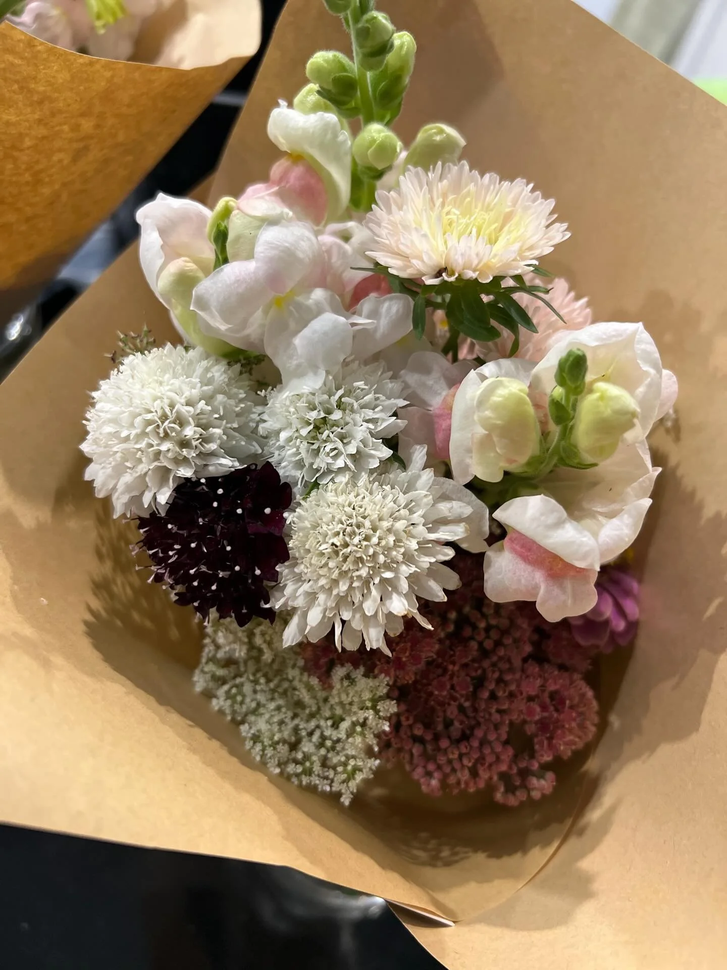 Sustainably grown. Lovingly harvested. Quietly arranged. No sprays. Compostable after enjoyment. Our fresh drop of posies will be at The Merchant this morning. We hope they bring you or someone you love a little bit of joy. @themerchantbenalla #fresh