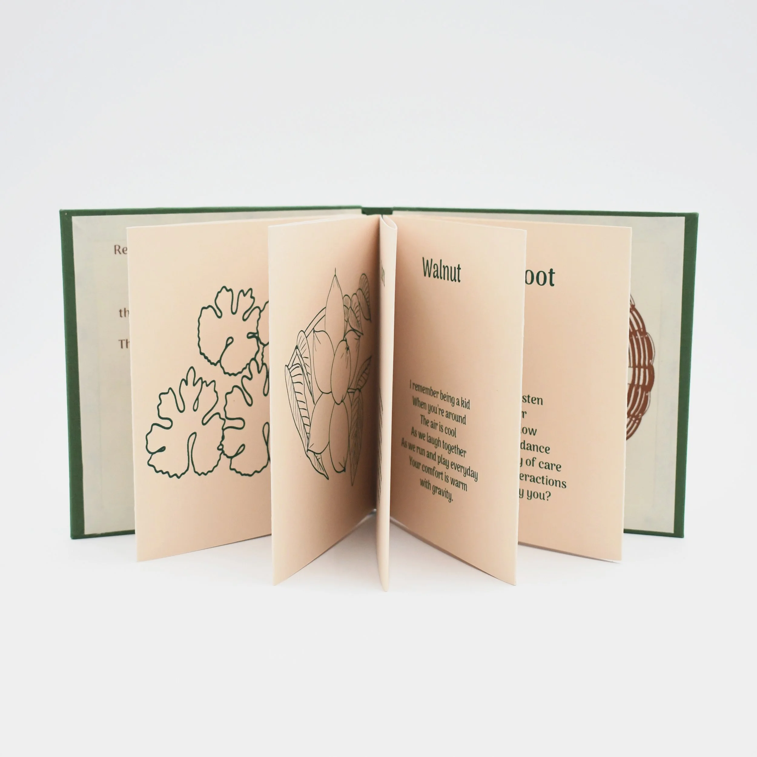 Relational Sentience