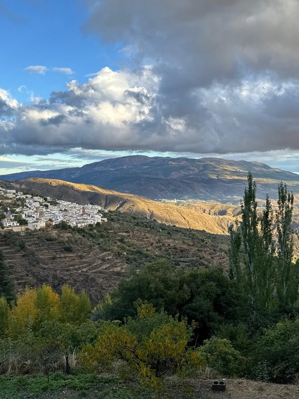 WhatsApp Image 2025-01-21 at 10.04.06 AM (1).jpeg