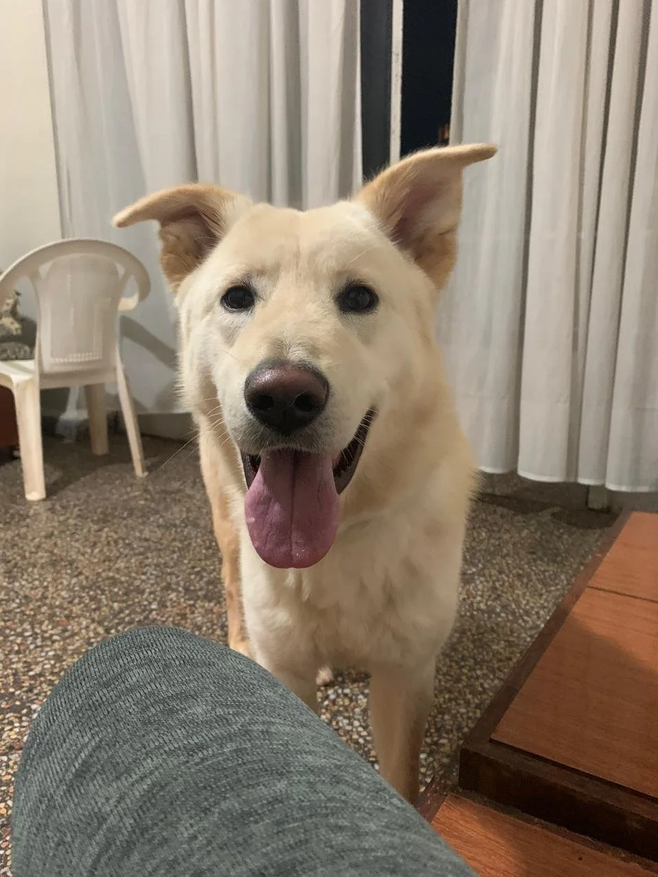 WhatsApp Image 2024-12-06 at 14.19.11 (2).jpeg