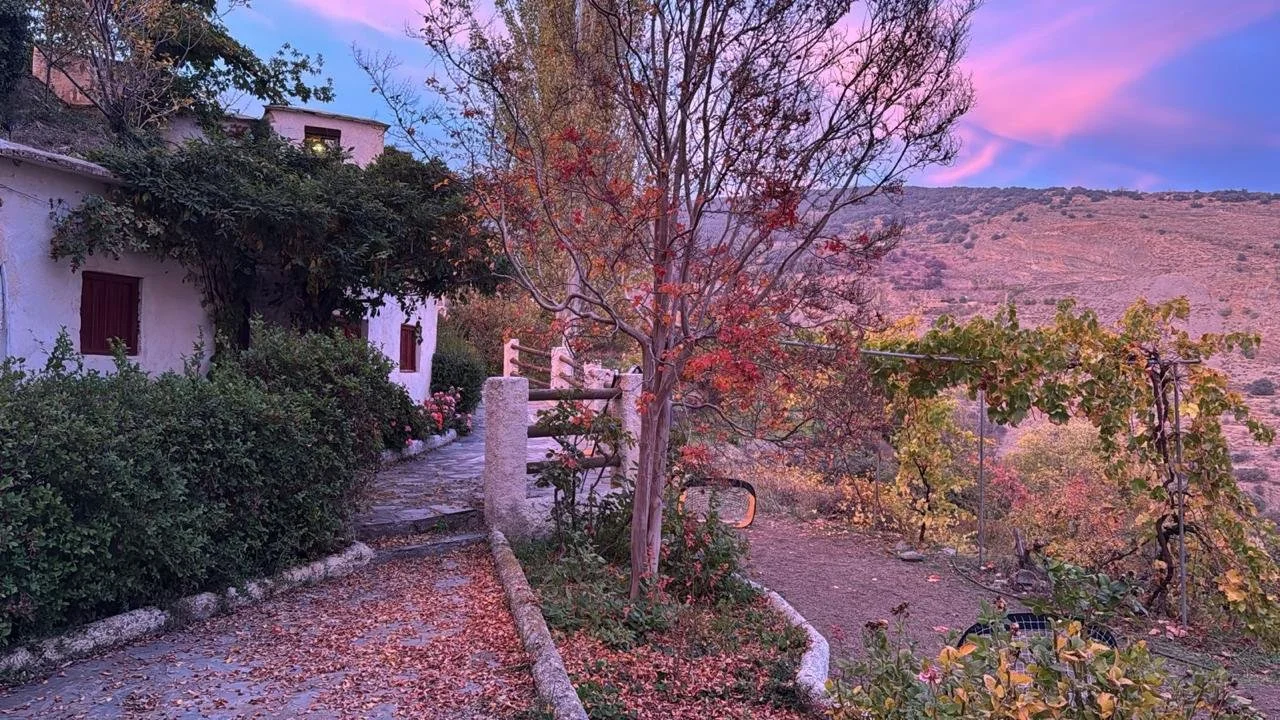 WhatsApp Image 2025-01-21 at 10.04.07 AM (1).jpeg