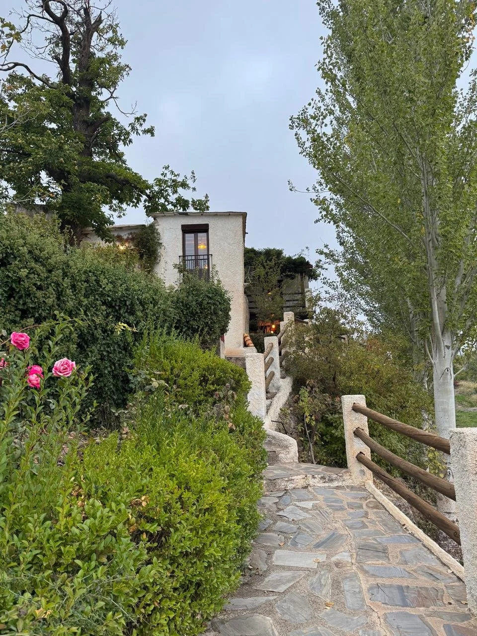 WhatsApp Image 2025-01-21 at 10.04.06 AM.jpeg