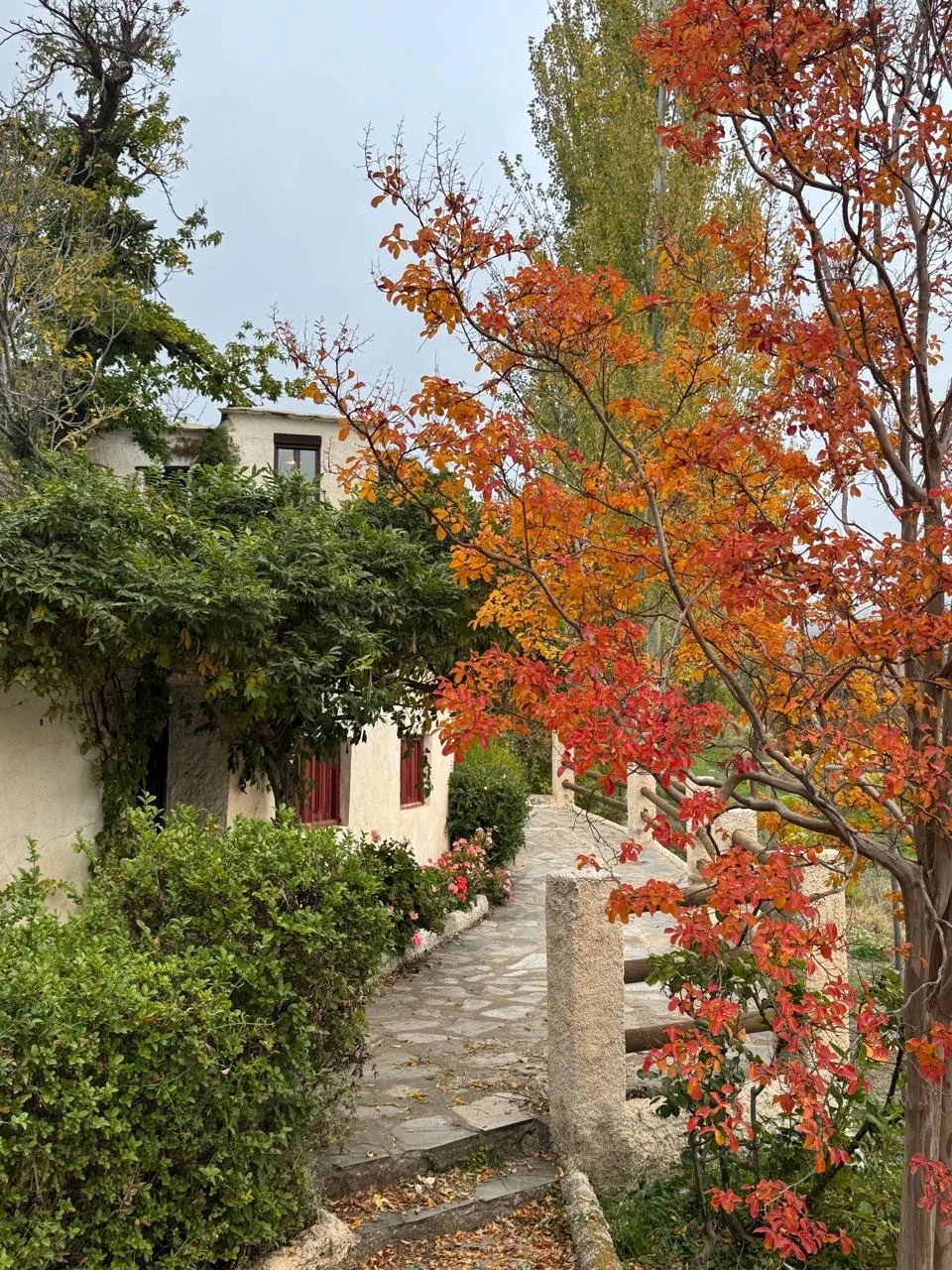 WhatsApp Image 2025-01-21 at 10.04.07 AM.jpeg