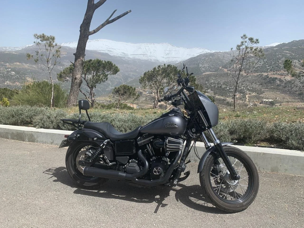 WhatsApp Image 2025-01-24 at 9.24.40 AM.jpeg