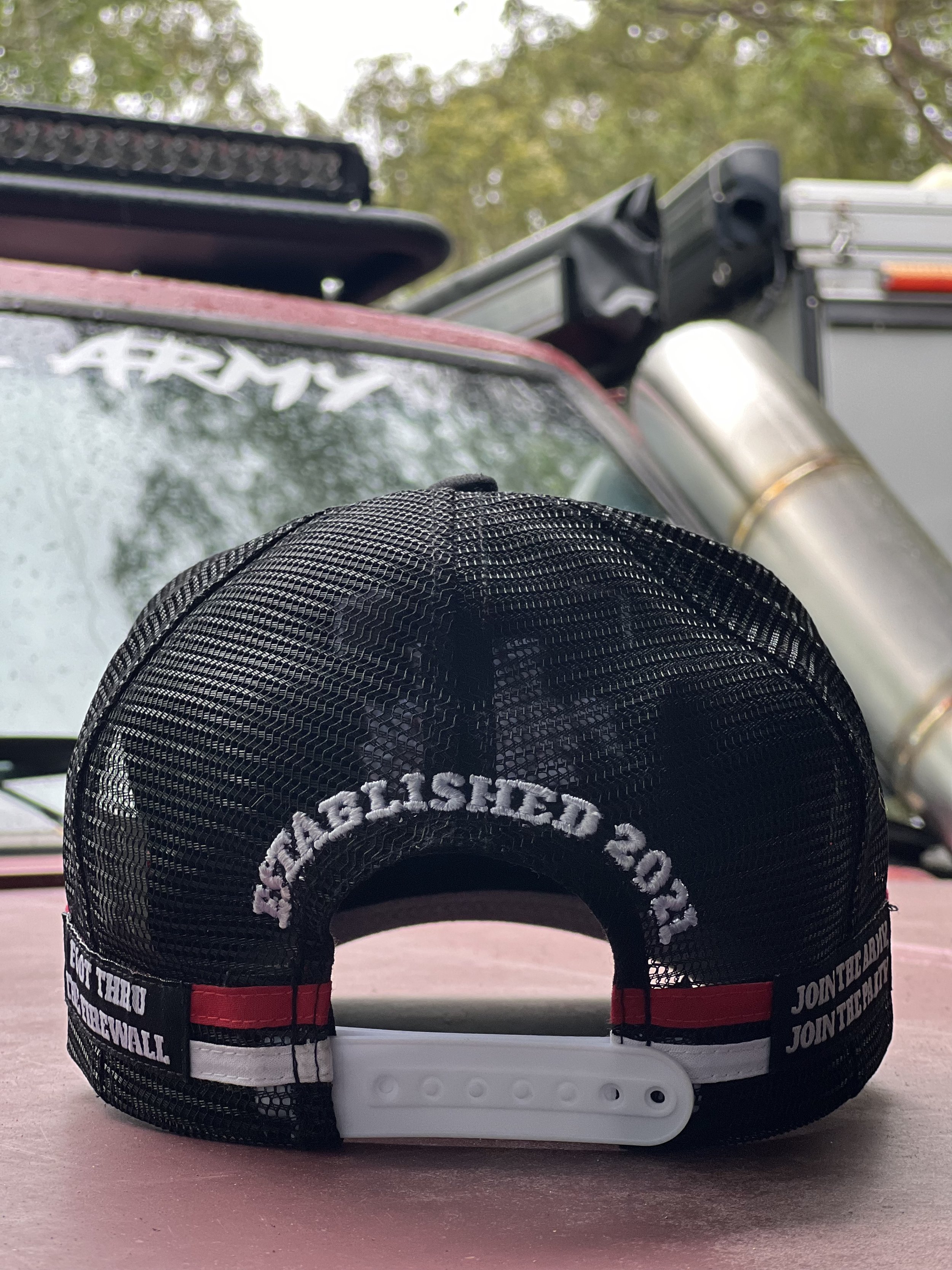 rear - establisged.jpg