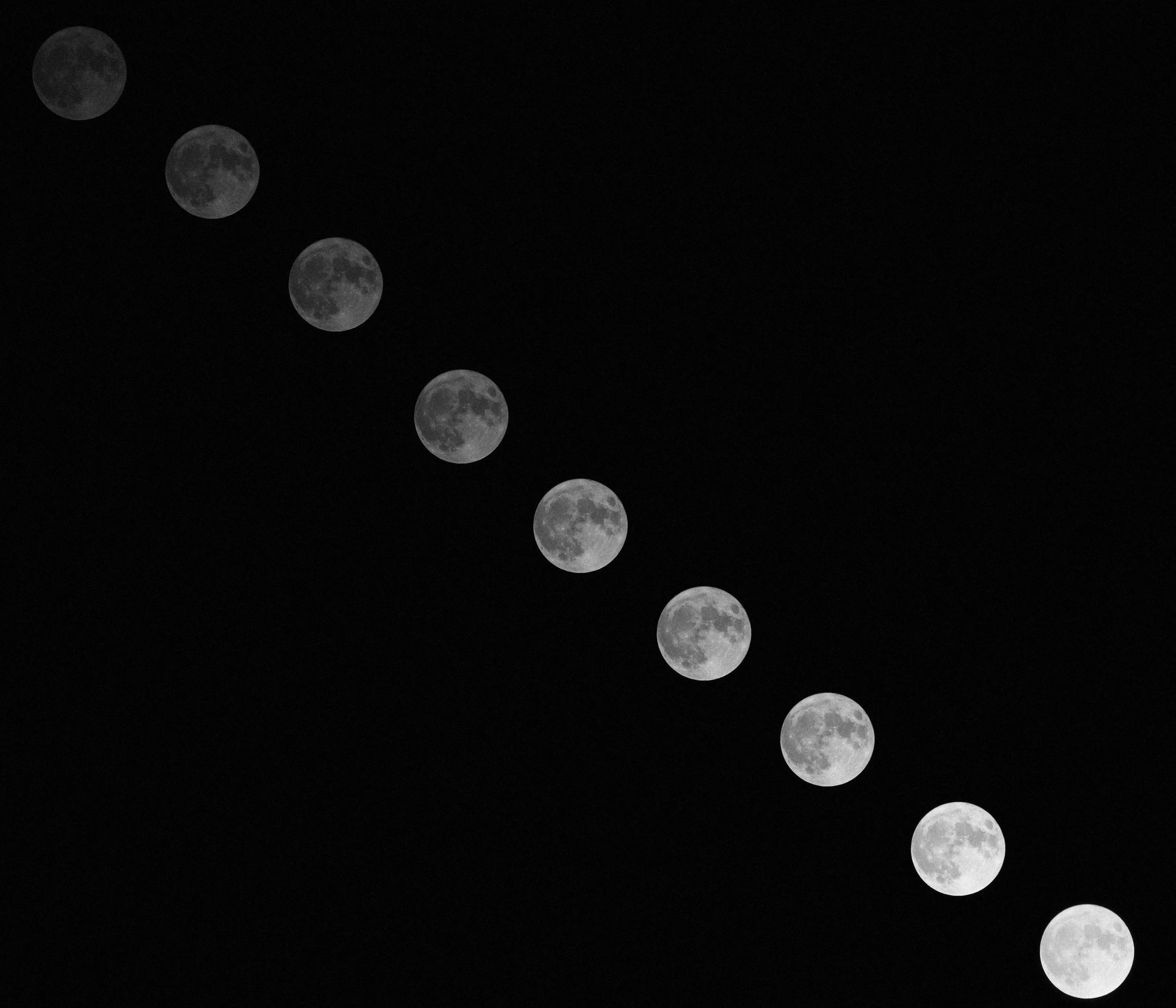 FORREST_MEGAN_4_BLUEMOON.jpg