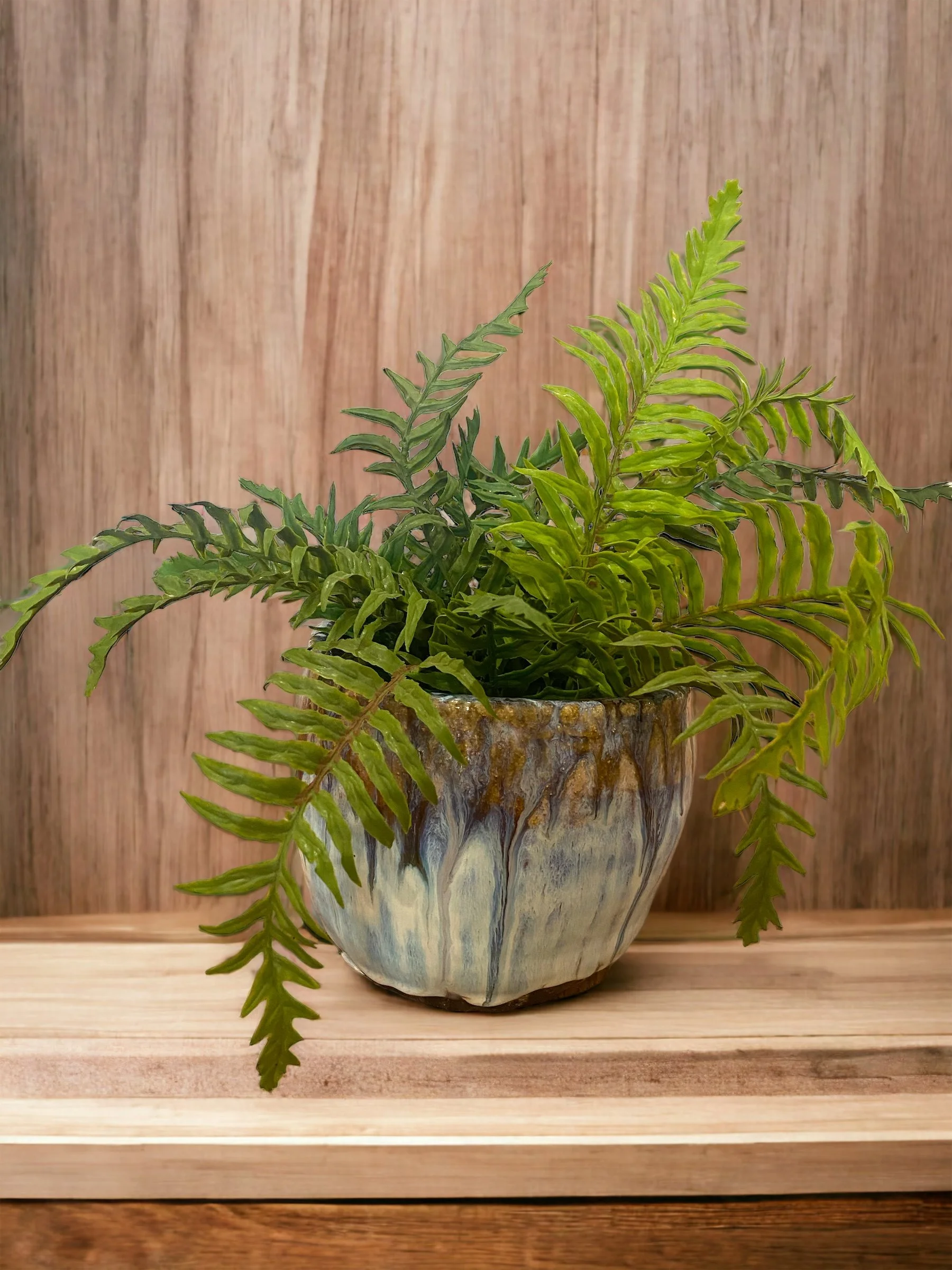 Green fern plant in a marbled ceramic pot on a wooden surface with a wooden wall background