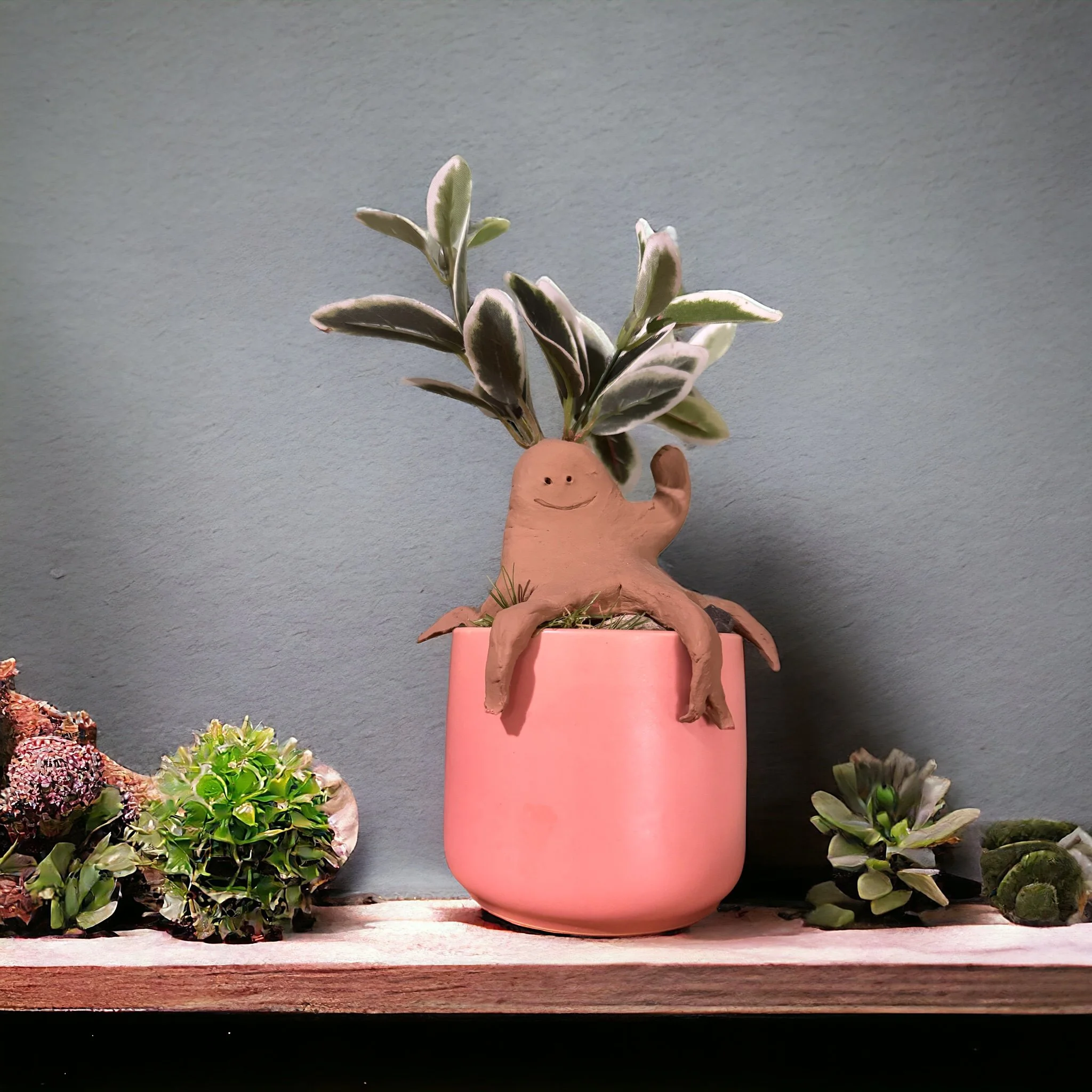 A potted plant with variegated leaves has a smiling clay figure with arms and legs hanging over the pink pot's rim, surrounded by other plants and succulents on a wooden shelf against a gray wall.