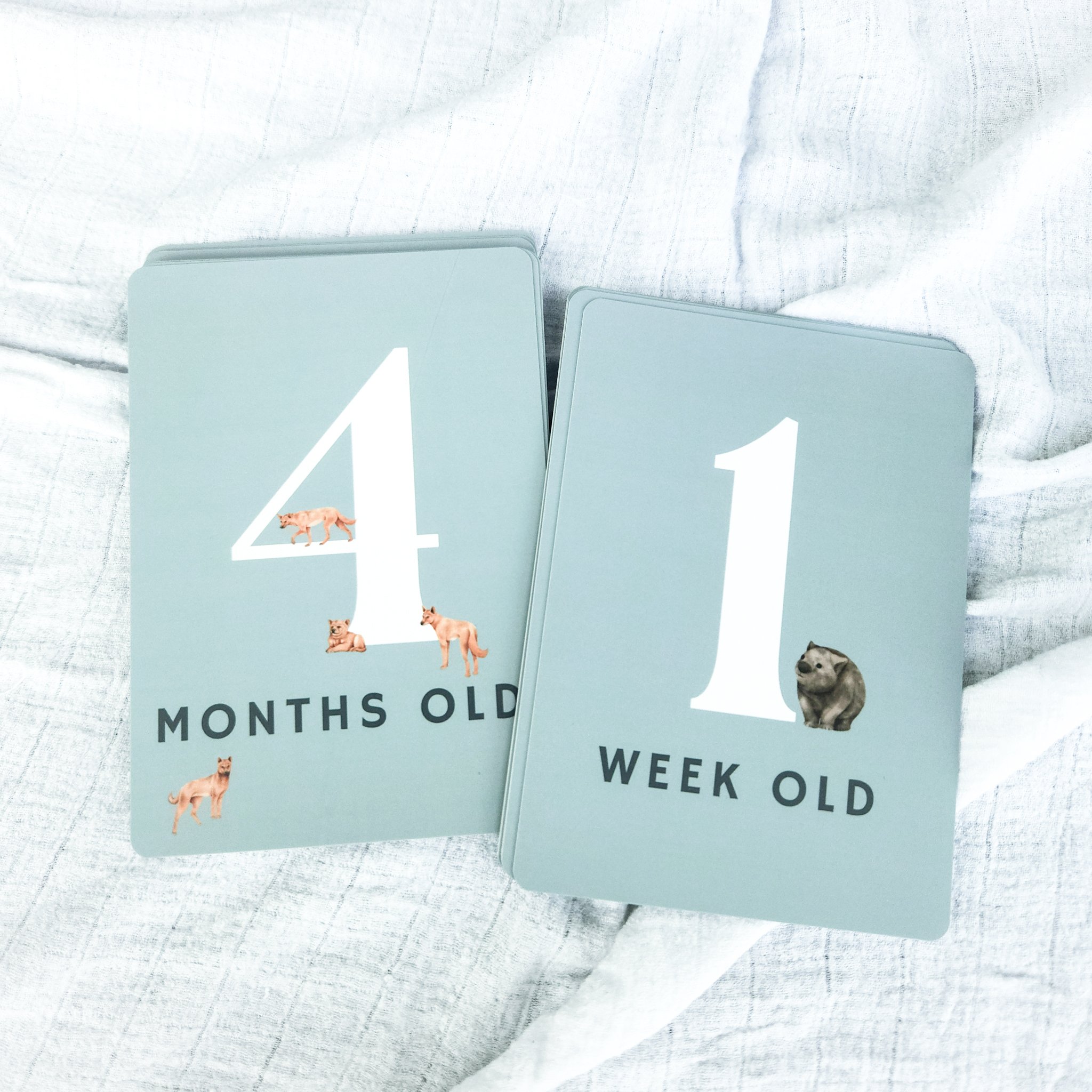 Milestone Card Shop Images-63.jpg