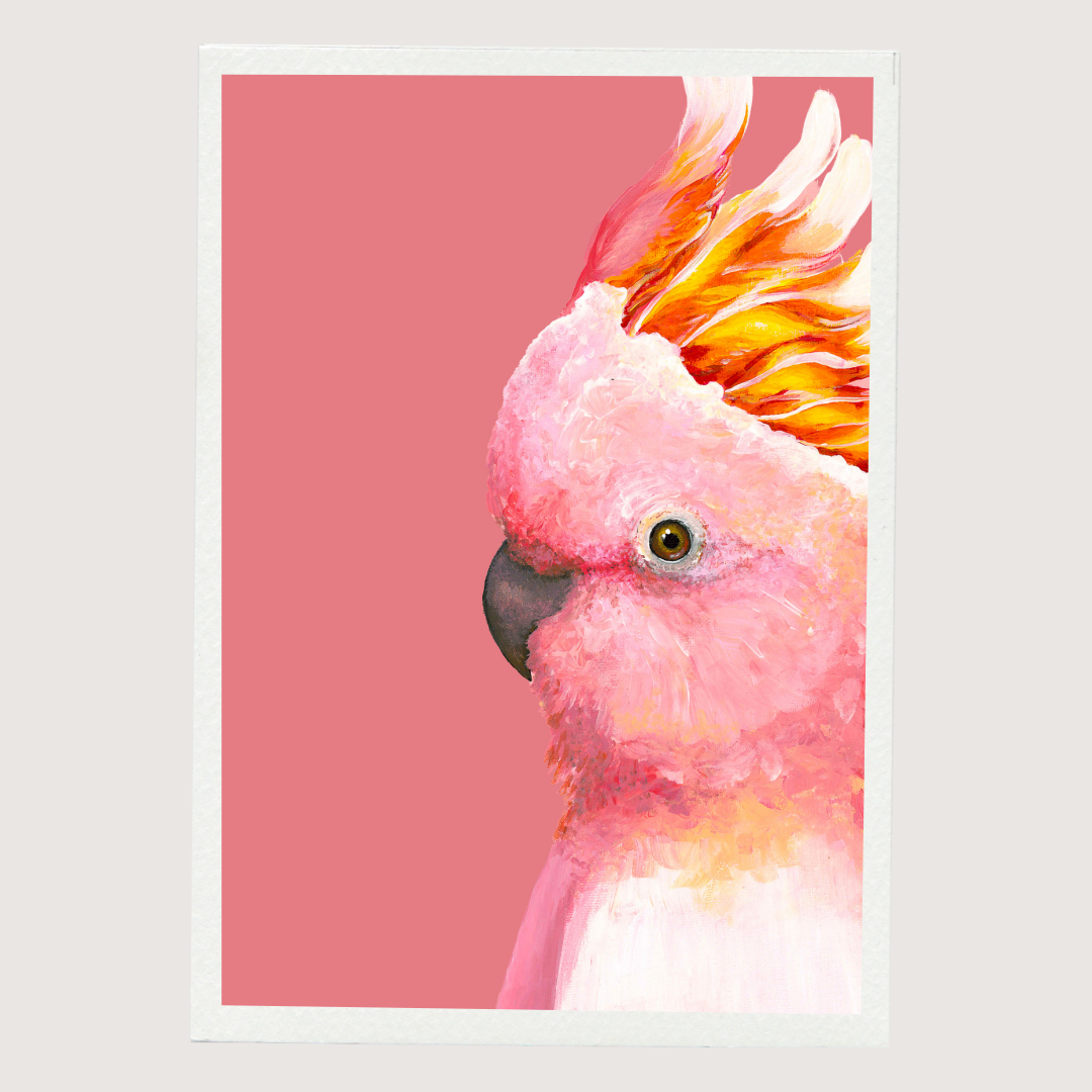 Greeting Card - Plain Galah