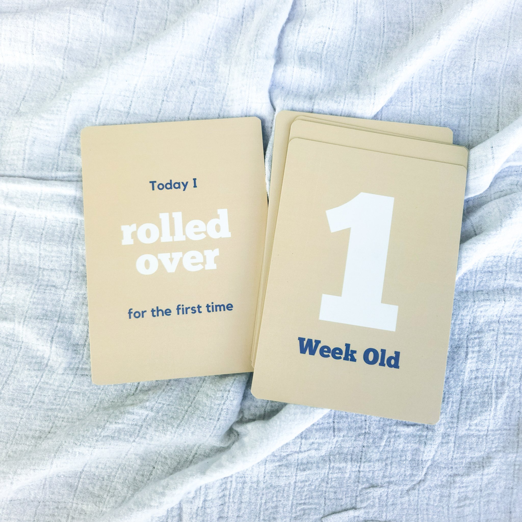 Milestone Card Shop Images-58.jpg
