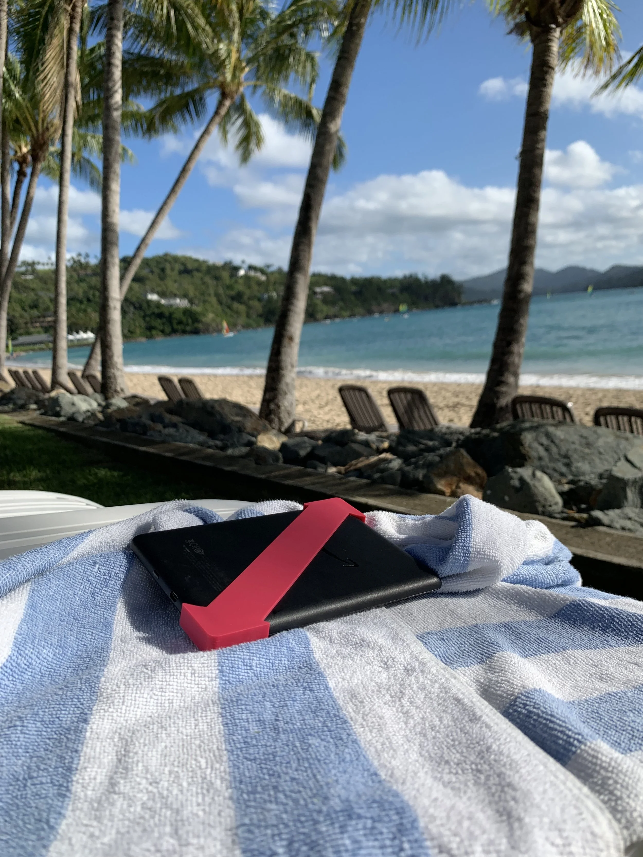 Strapsicle Kindle holder