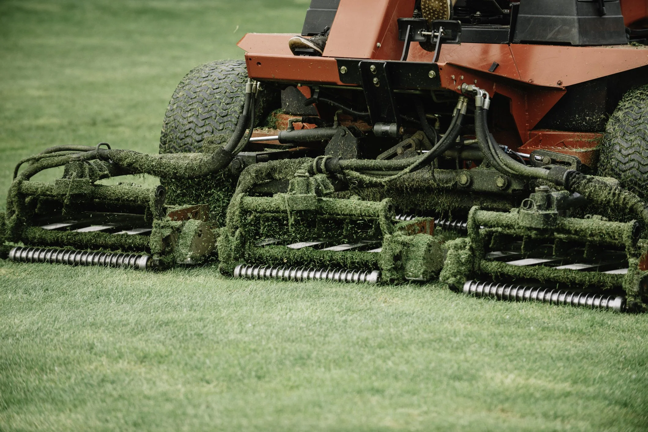 Golf course reel mower operating on maintained turf supported by specialist mechanical servicing