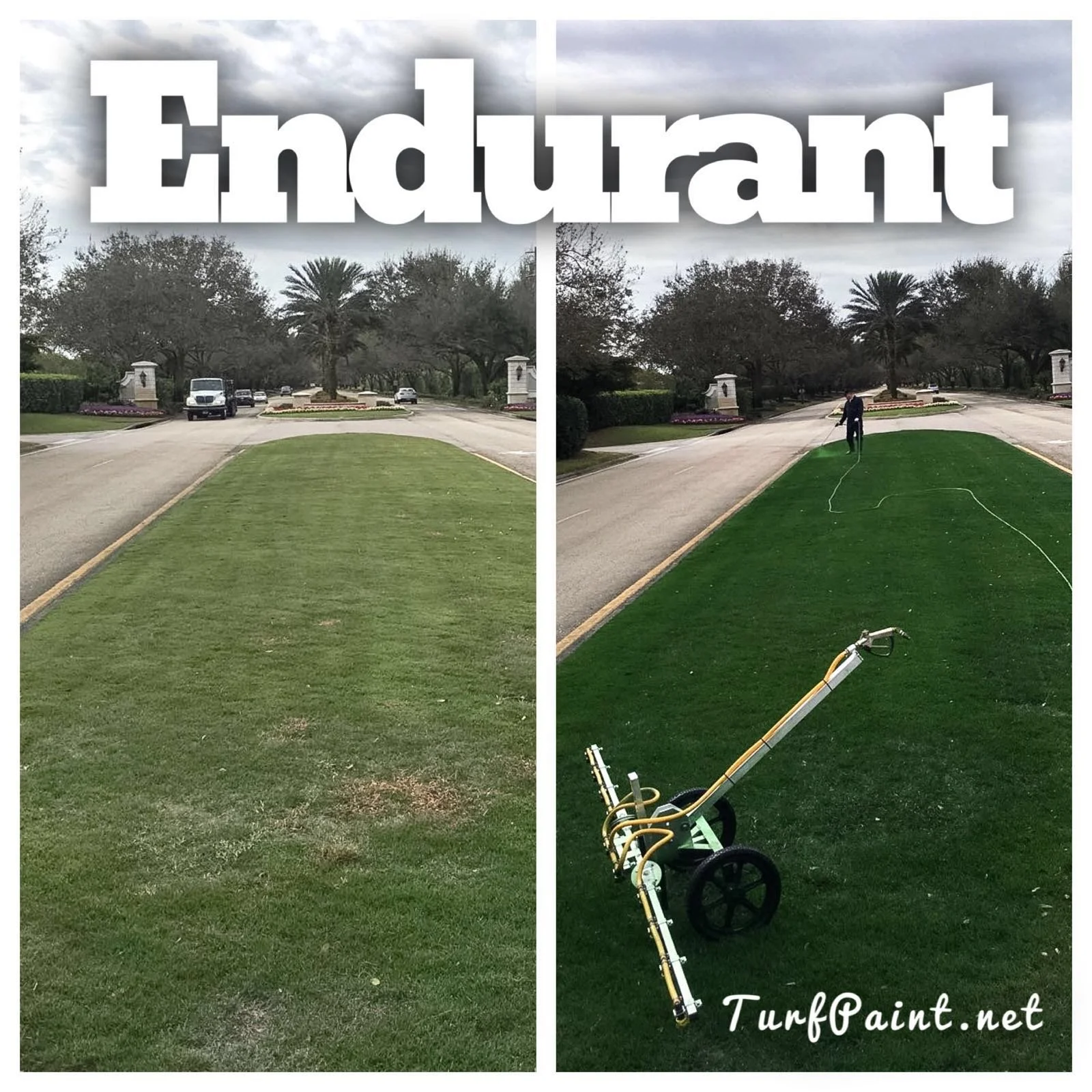endurant fairway.jpeg