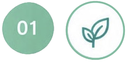 The Self-System Pathway-Foundations
