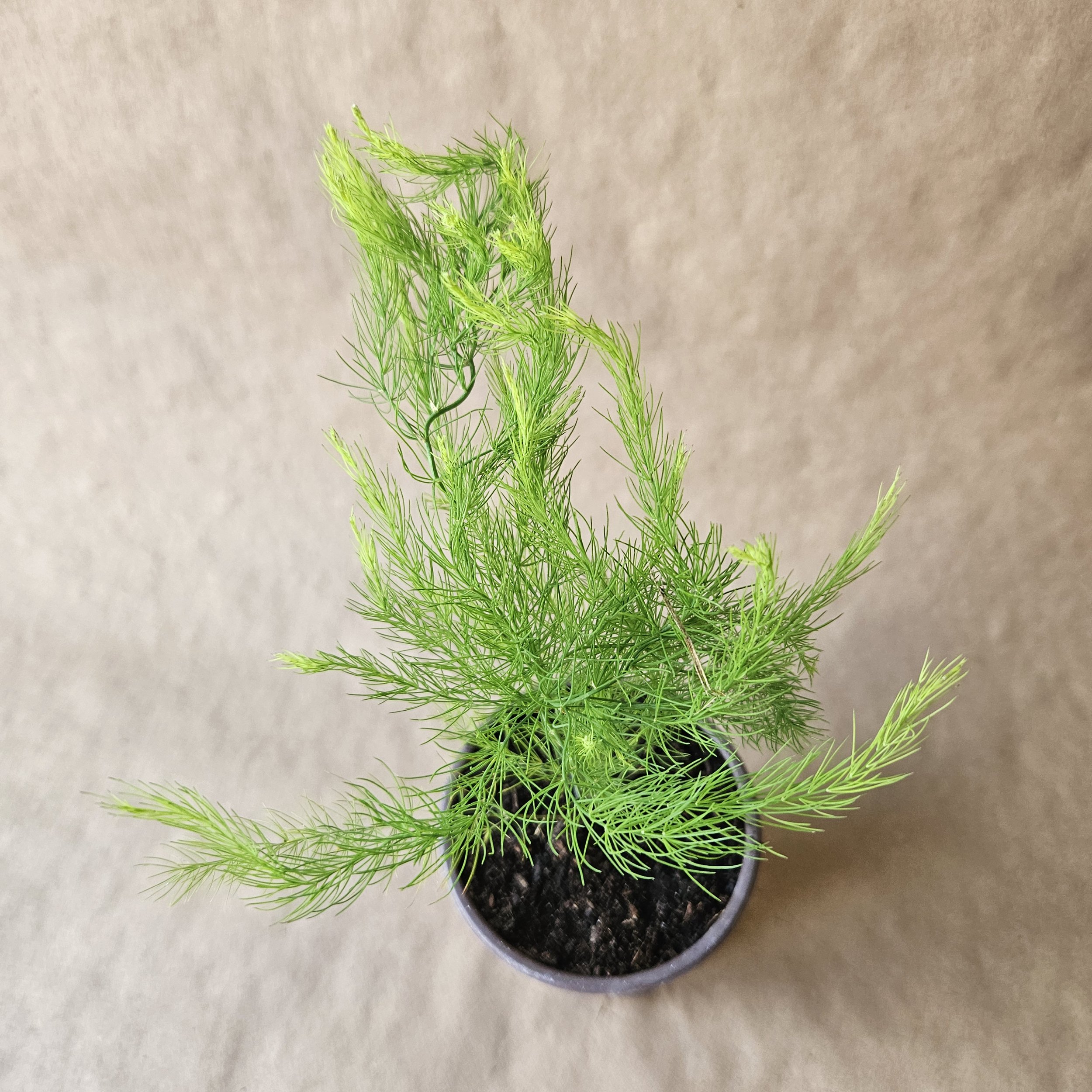 20260815_152400.jpg