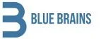 BlueBrains-1.jpg