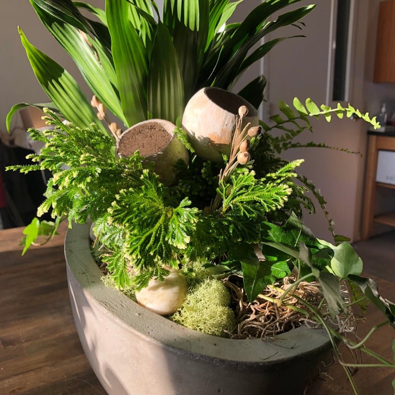 Deluxe Indoor Planter