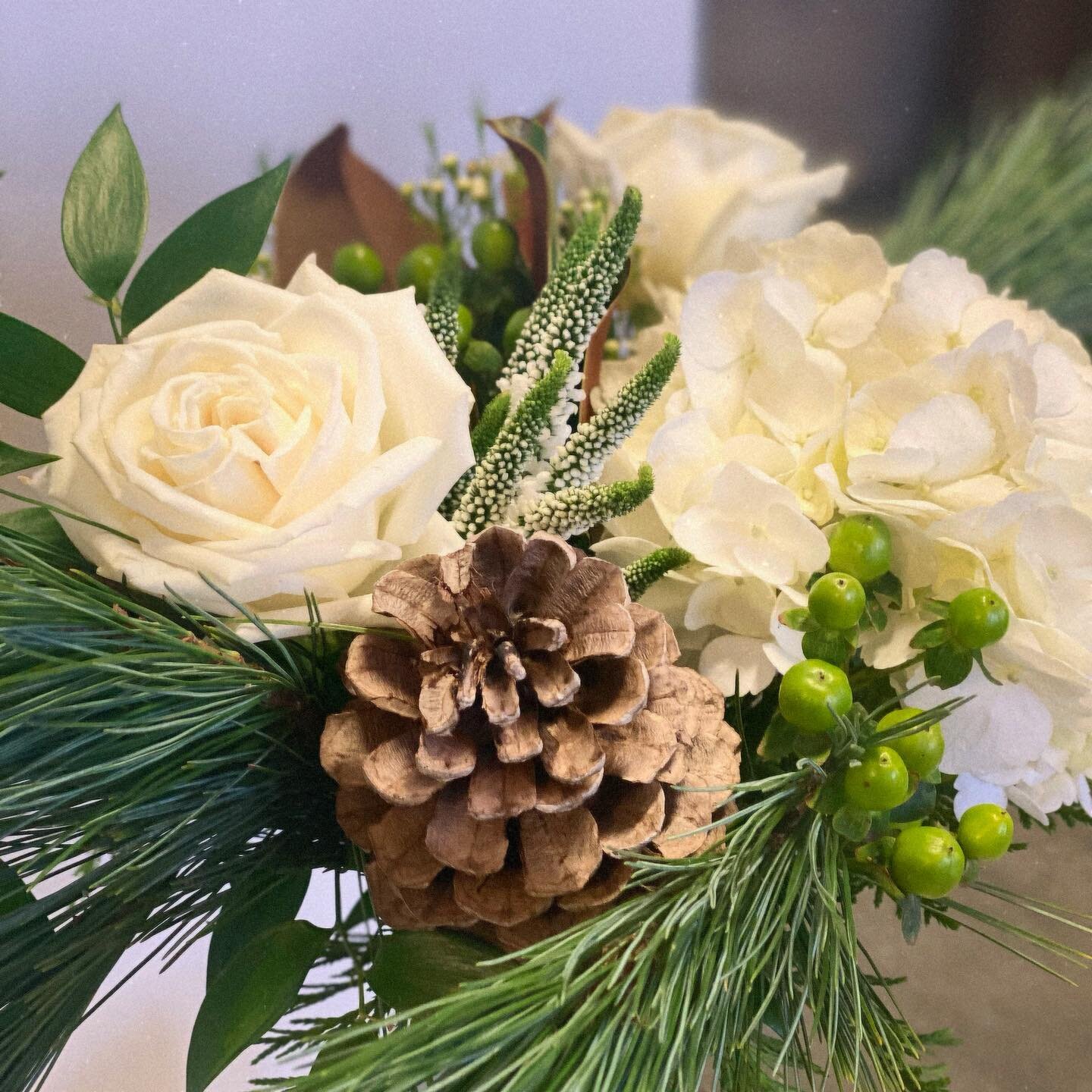 Wintery Bouquets 💐 

#winter #winterbouquet #pinecone #hydrangea #playablanca #veronica #orangeville #caledon #mono #winterweddings #orangevilleflorist #gtaflorist #mokshaflowerco