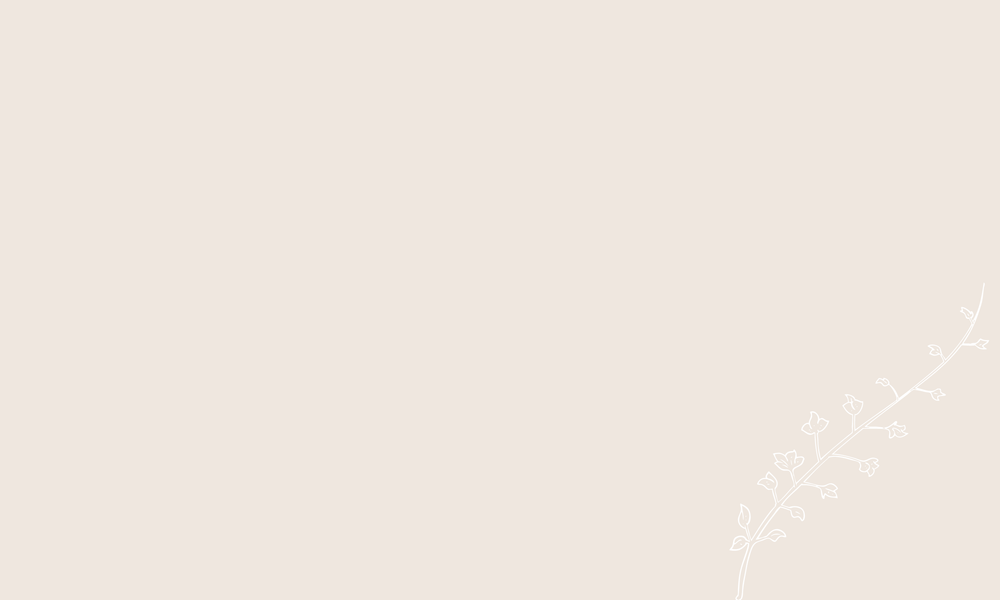 Moksha Flower Co. Orangeville Florist — Orangeville Florist