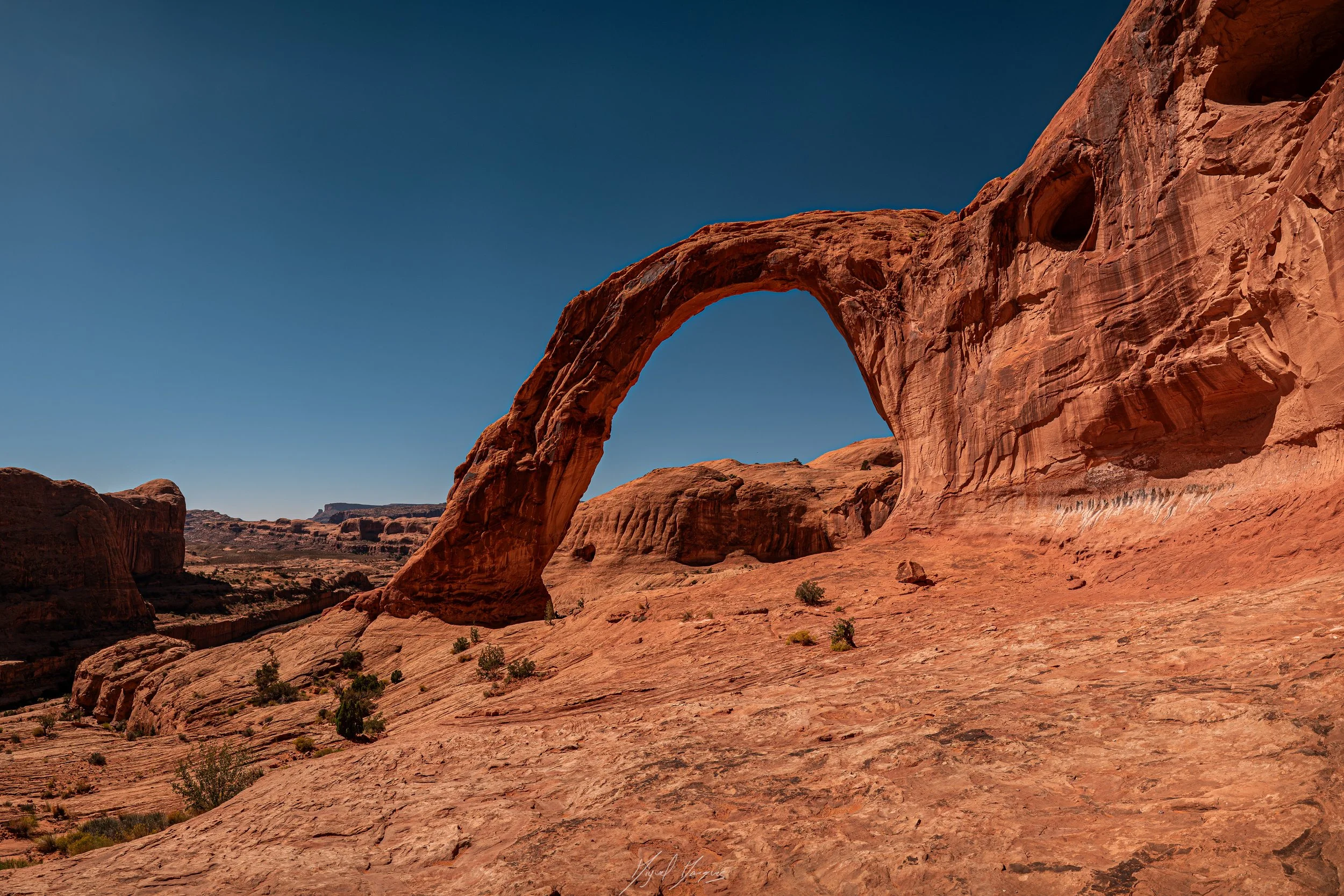 DSC09797 Panorama.jpg