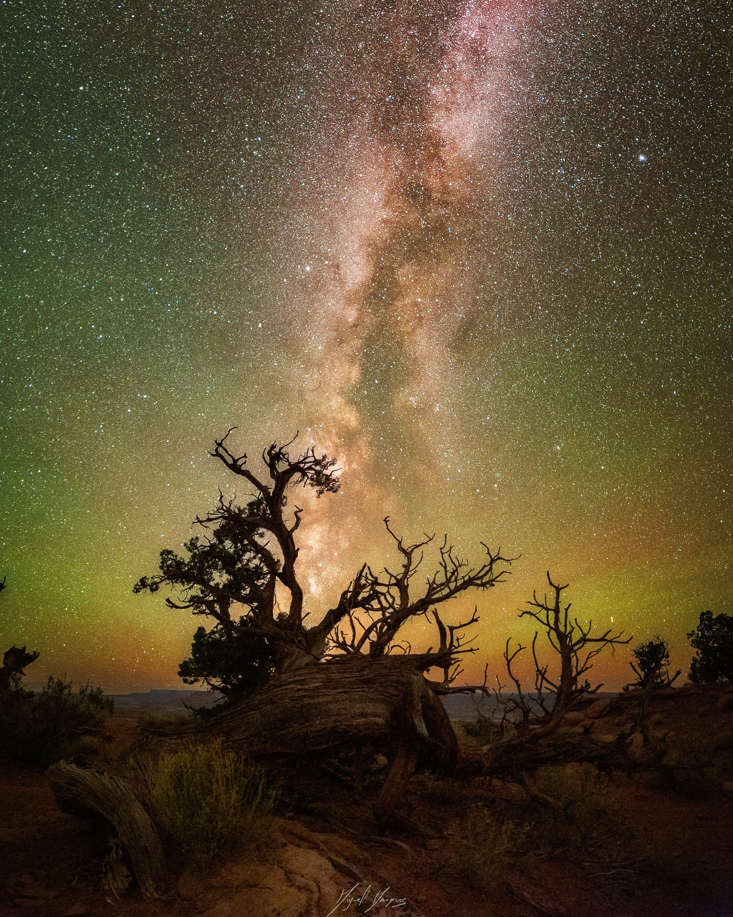 DSC09951 Panorama-Editar-Editar.jpg