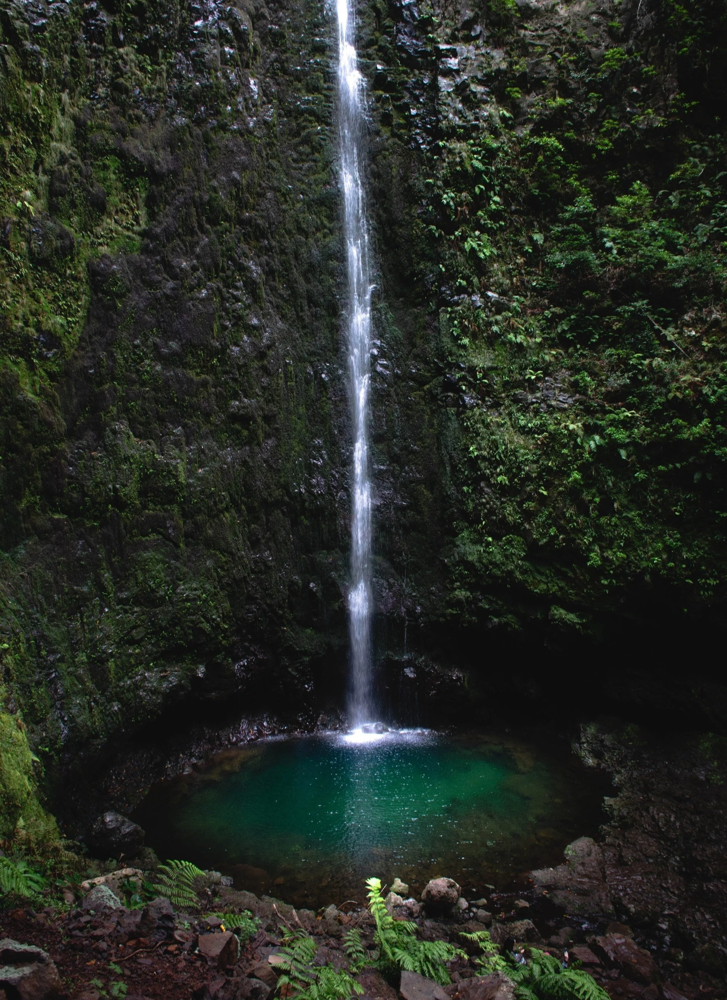 madeiras tallest waterfall caldeirao verde falling into a pond