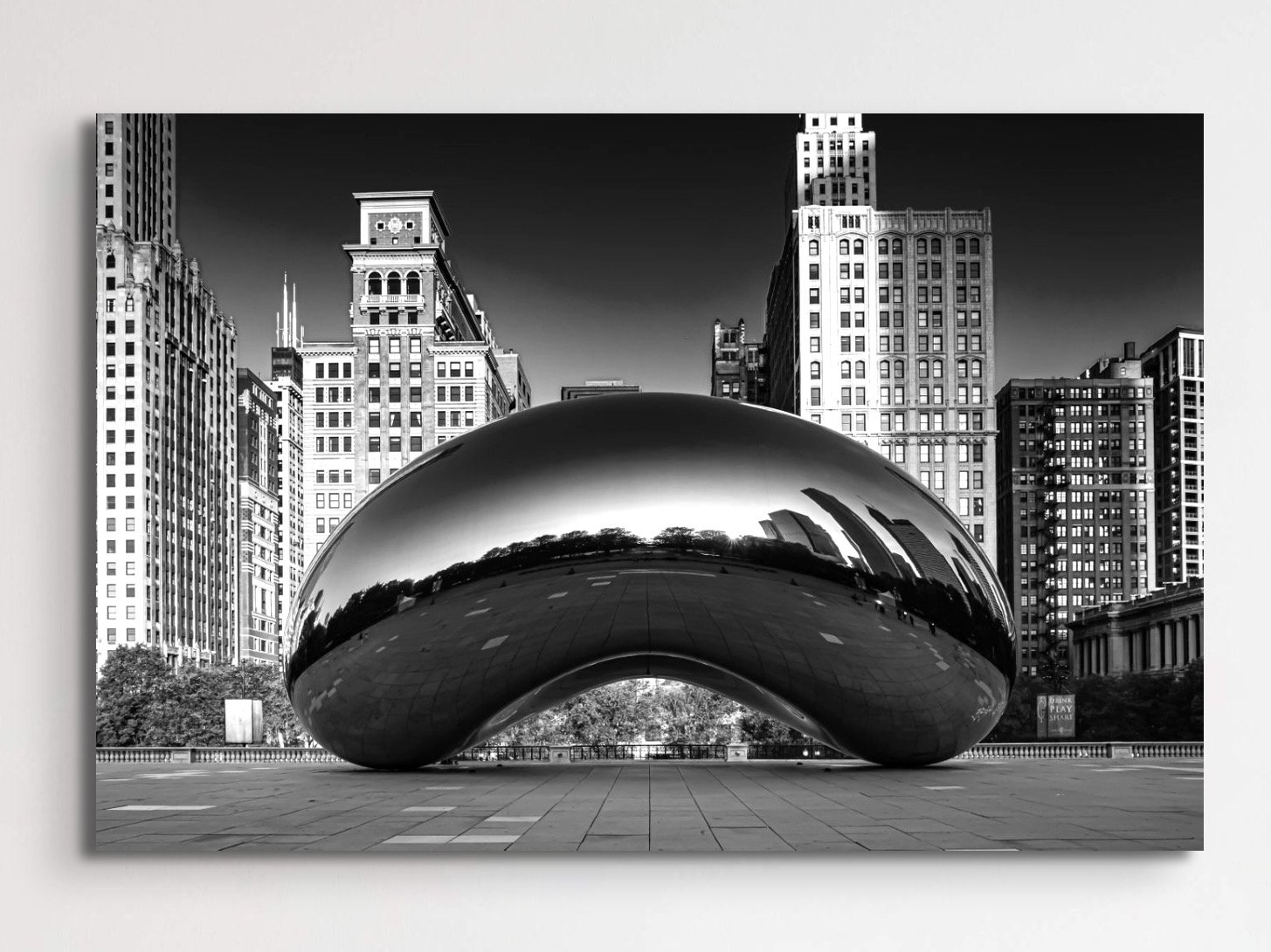 the_bean_in situ2.jpeg