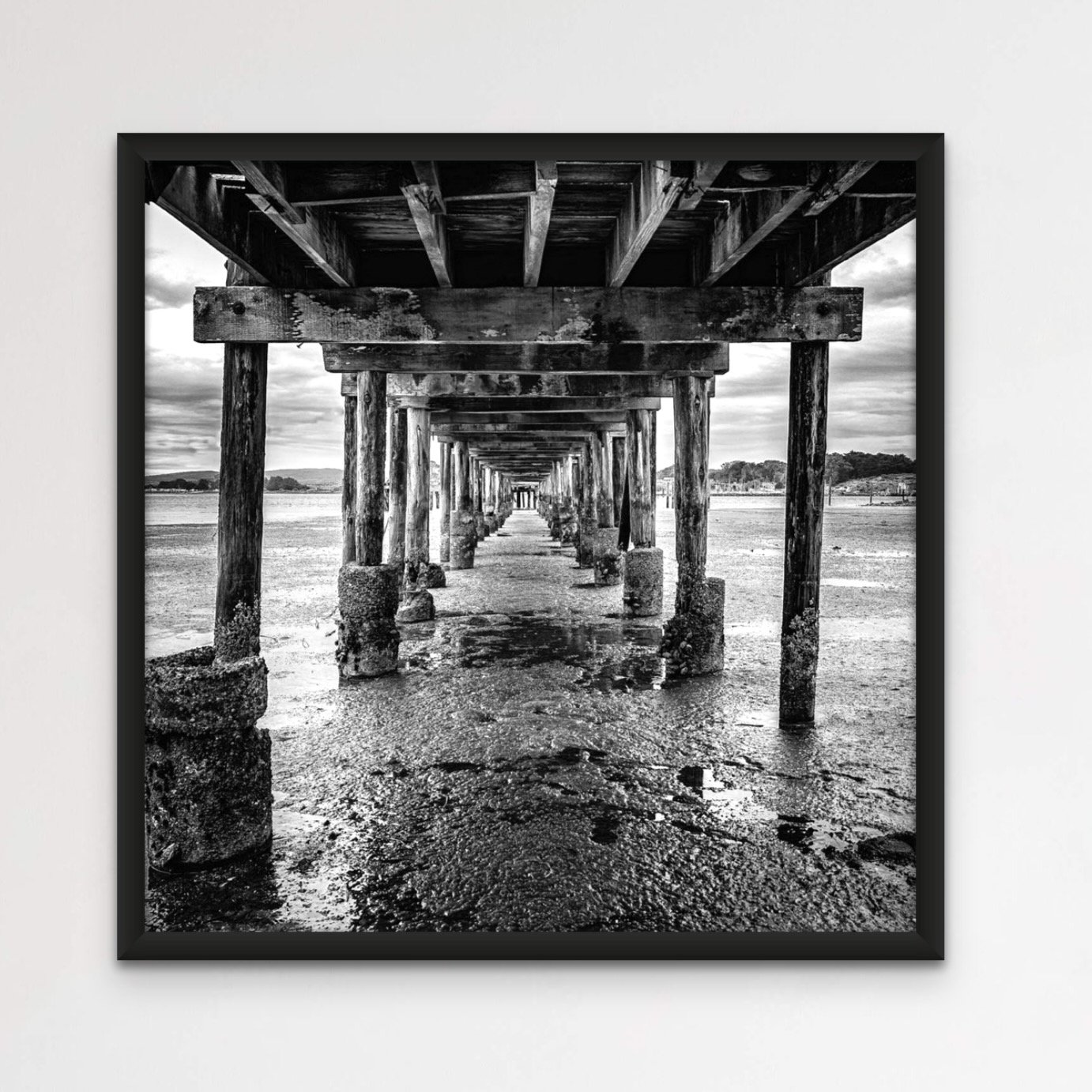 bodega_bay_pier-2.jpeg