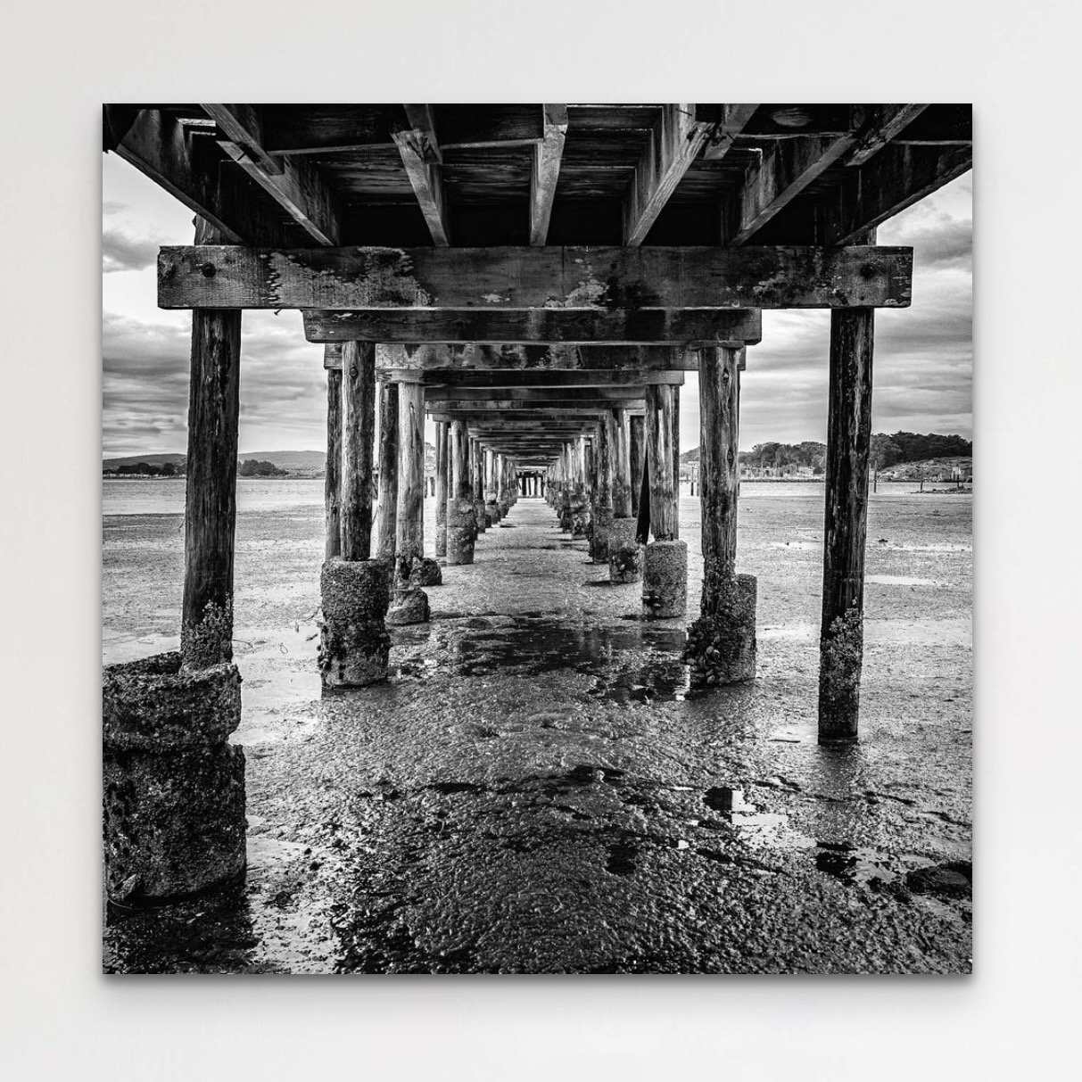 bodega_bay_pier-3.jpeg