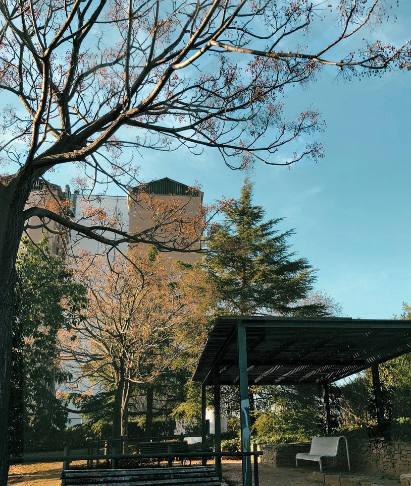 Arteterapia + LGTBQIA+ / Antiracisme